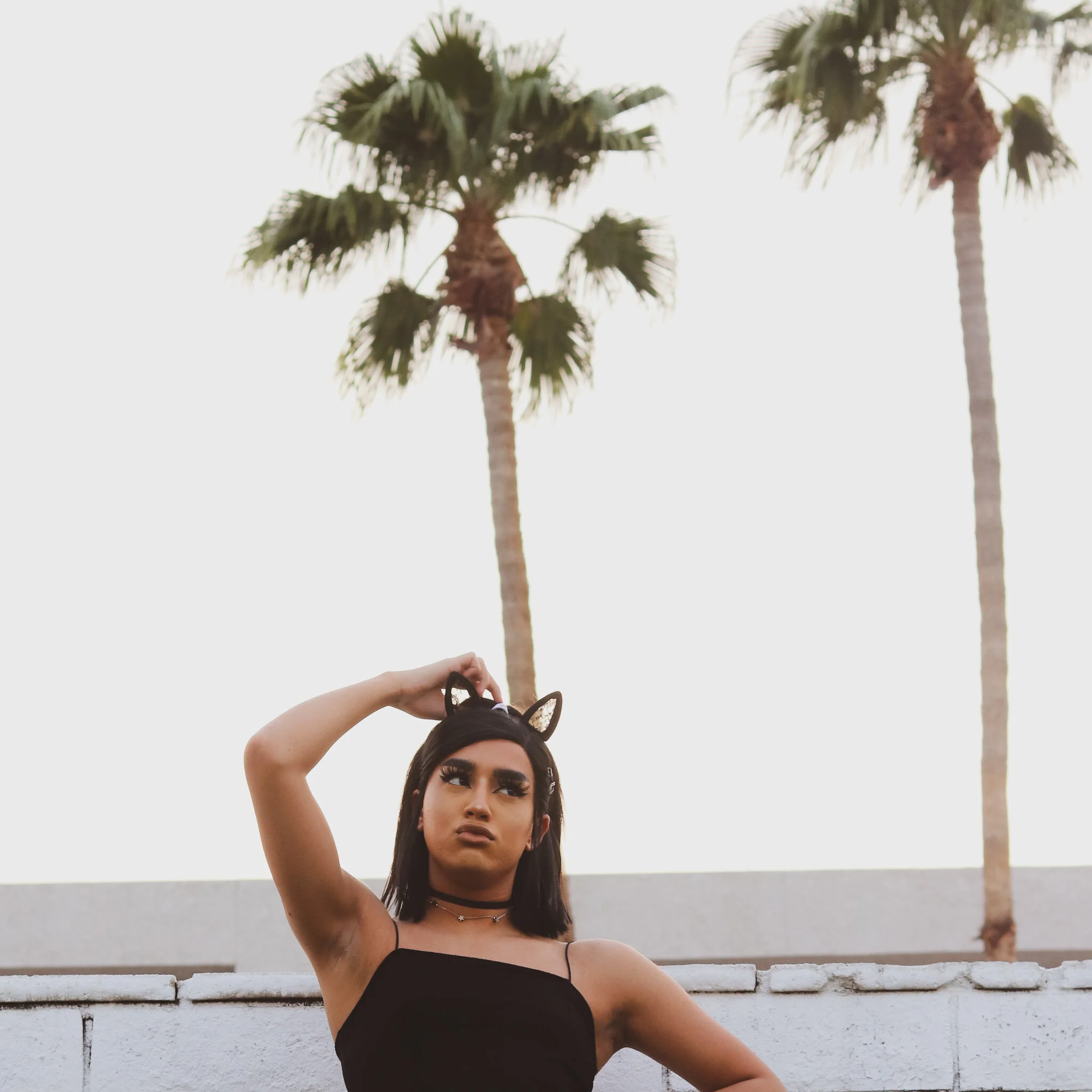 IMG_4307 BRANDON_Tall Palm.jpg