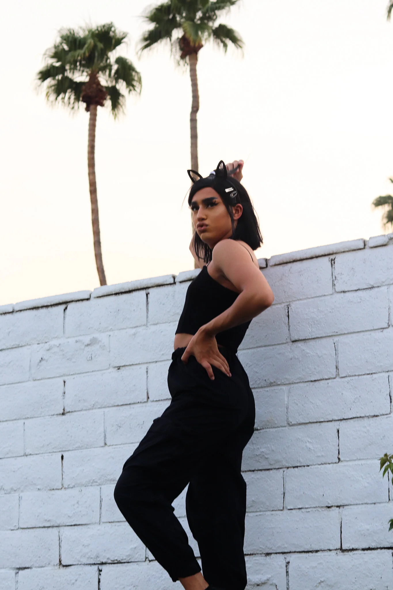 IMG_4314 BRANDON_tall palm 2.jpg