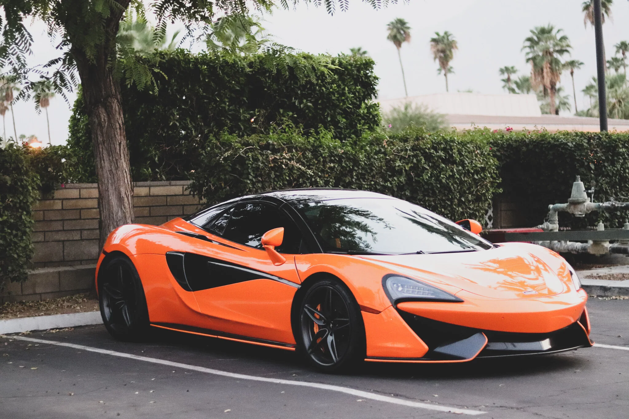IMG_4539 car.jpg