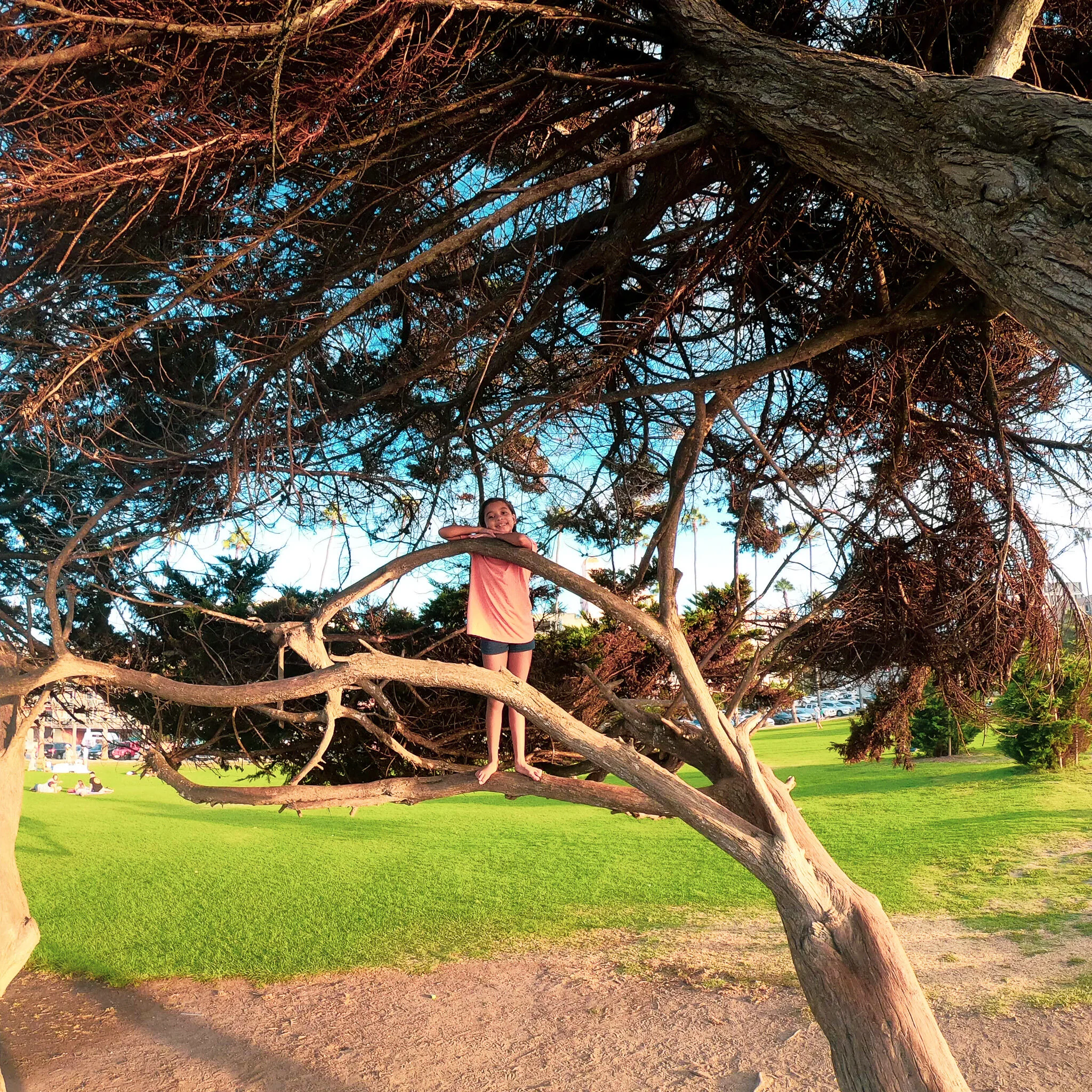G0045020 LA JOLLA.jpg
