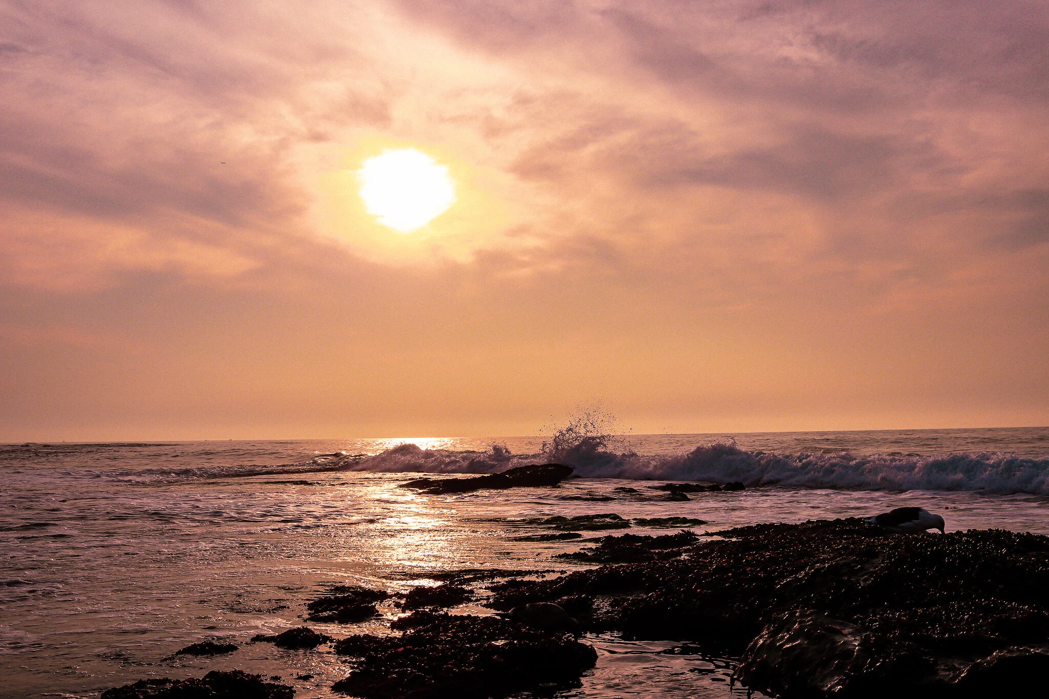 IMG_5153 LA JOLLA.jpg