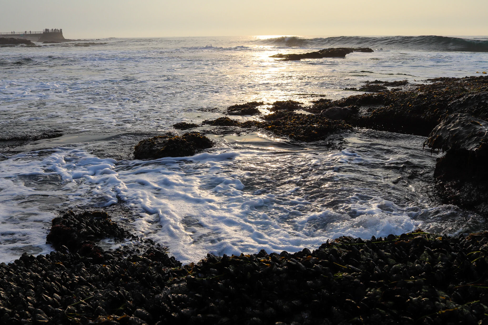 IMG_5168 LA JOLLA.jpg