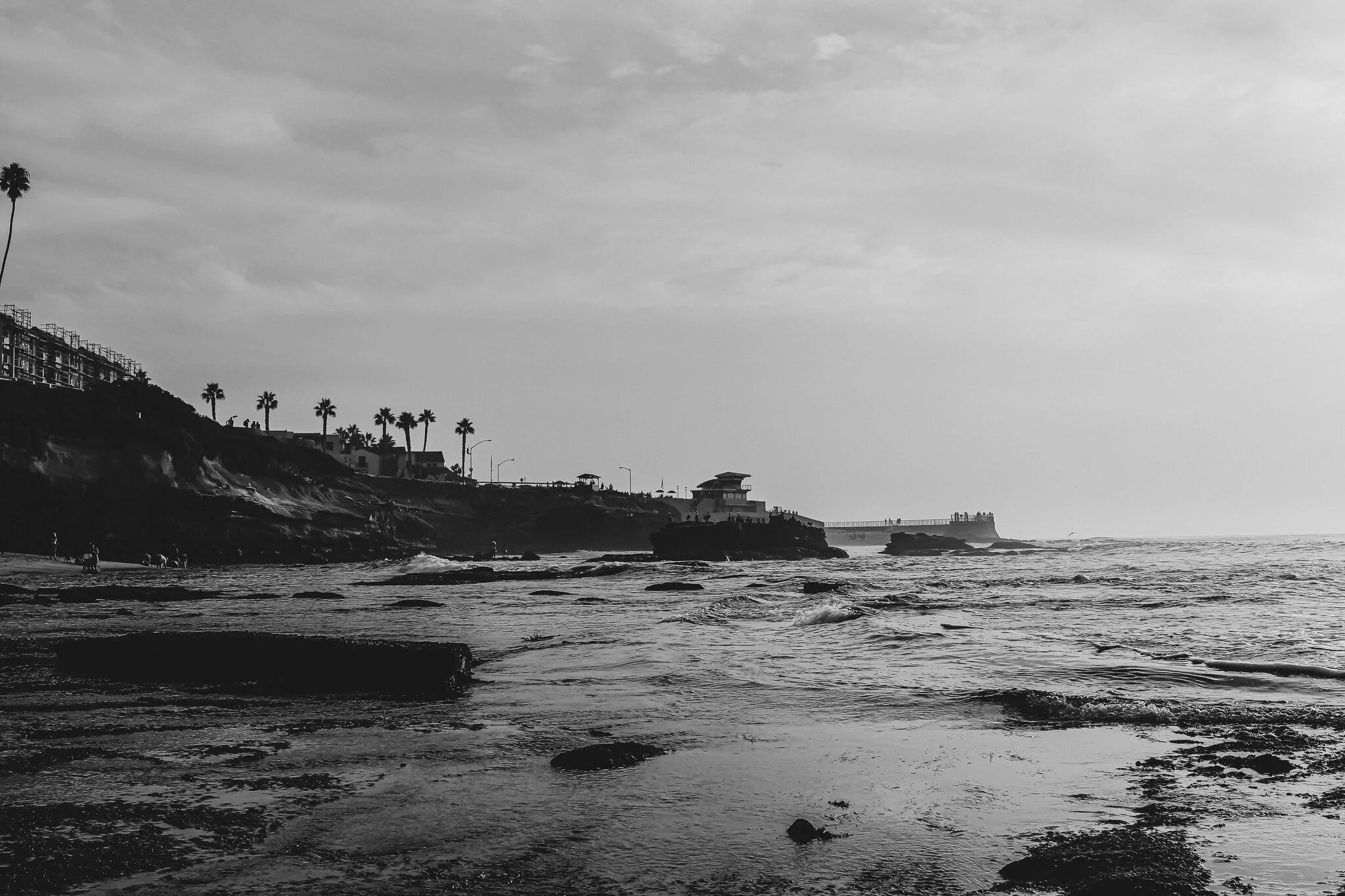 IMG_5226 LA JOLLA.jpg