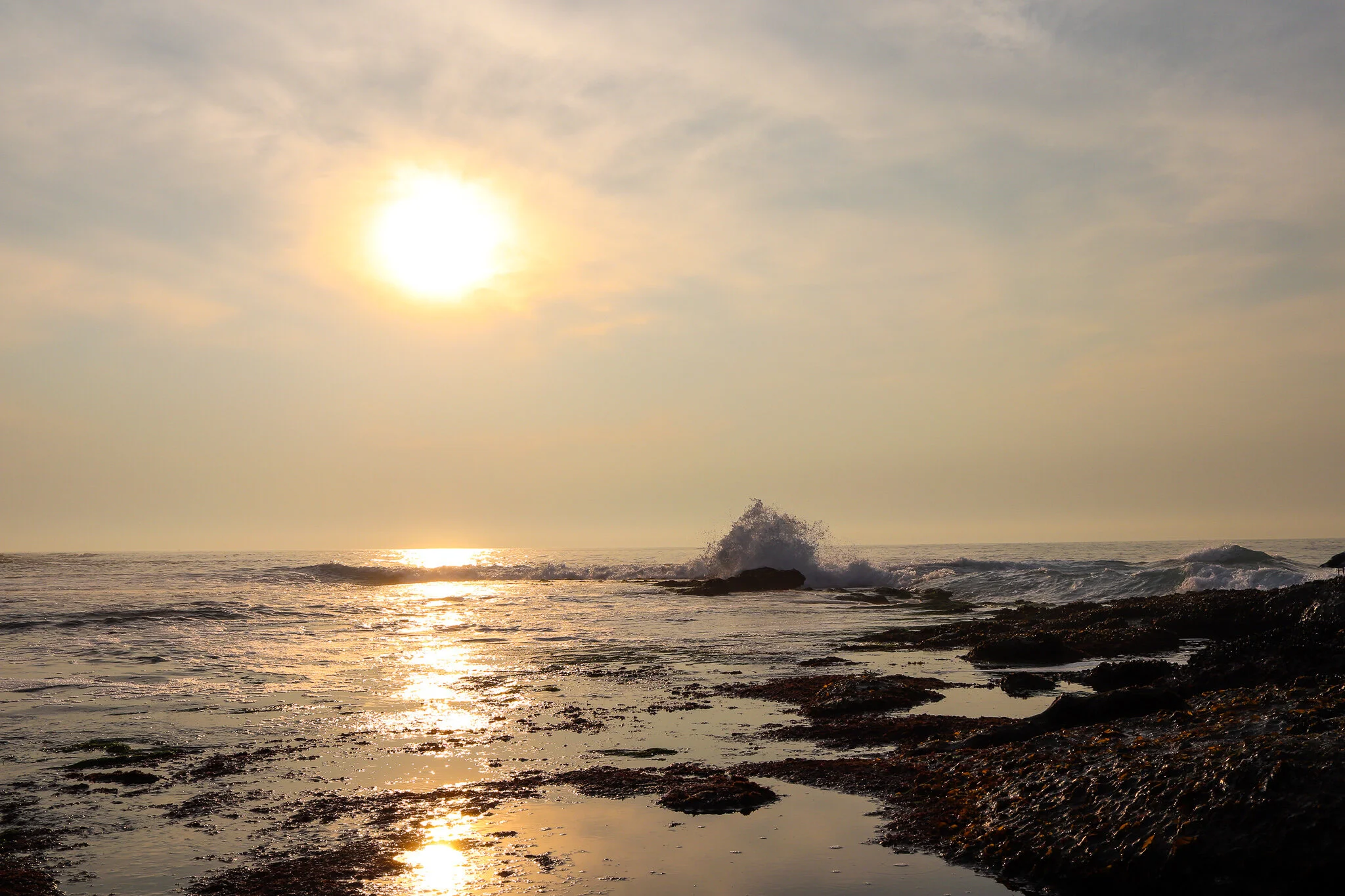 IMG_5234 LA JOLLA.jpg
