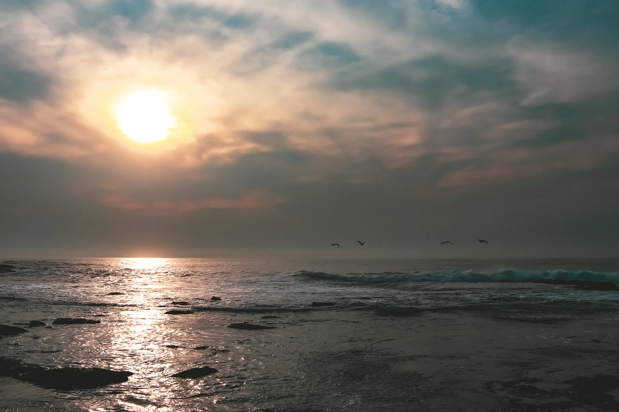 IMG_5241 LA JOLLA.jpg