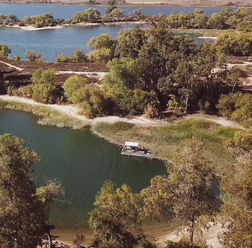 Screen Shot 2020-10-02 at 7.52.18 AM.jpg