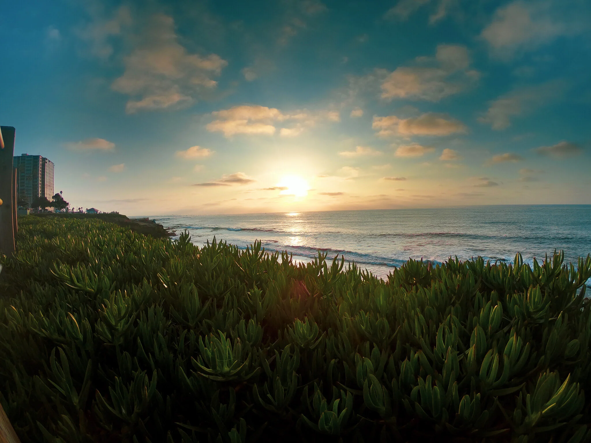 USED FONZ IG GOPR5052 LA JOLLA.jpg