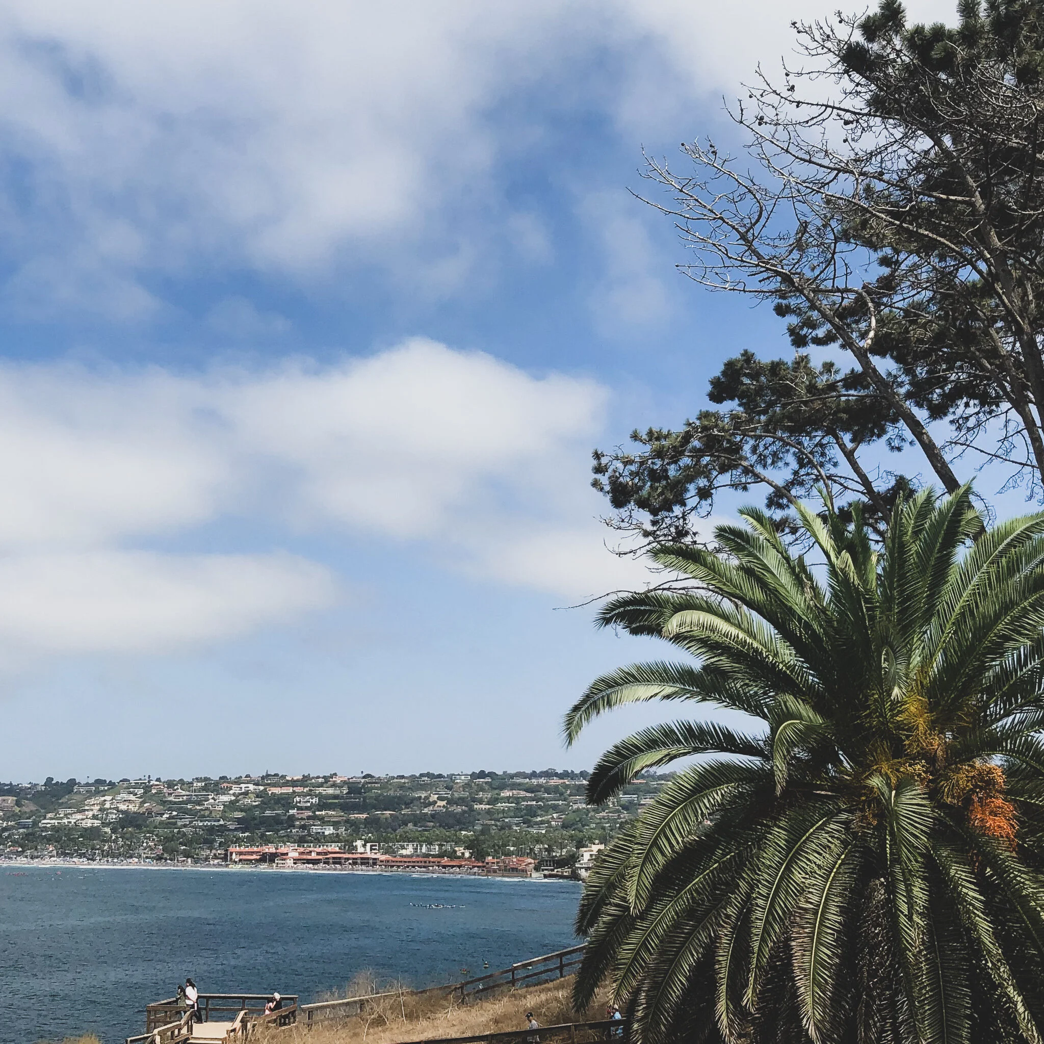 LA JOLLA IMG_7742.jpg