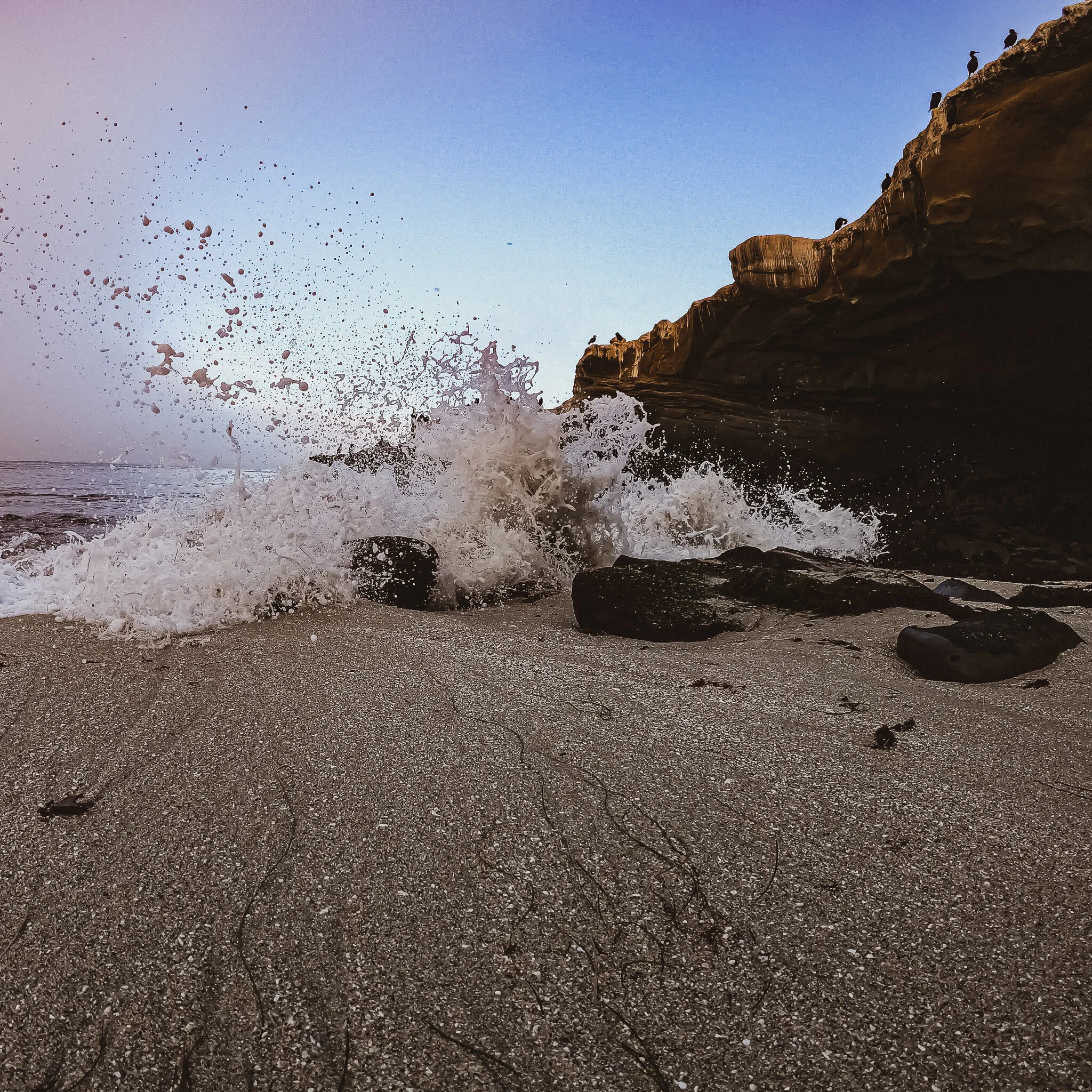 USED WEEK #43 G0237365 LA JOLLA WAVES.jpg