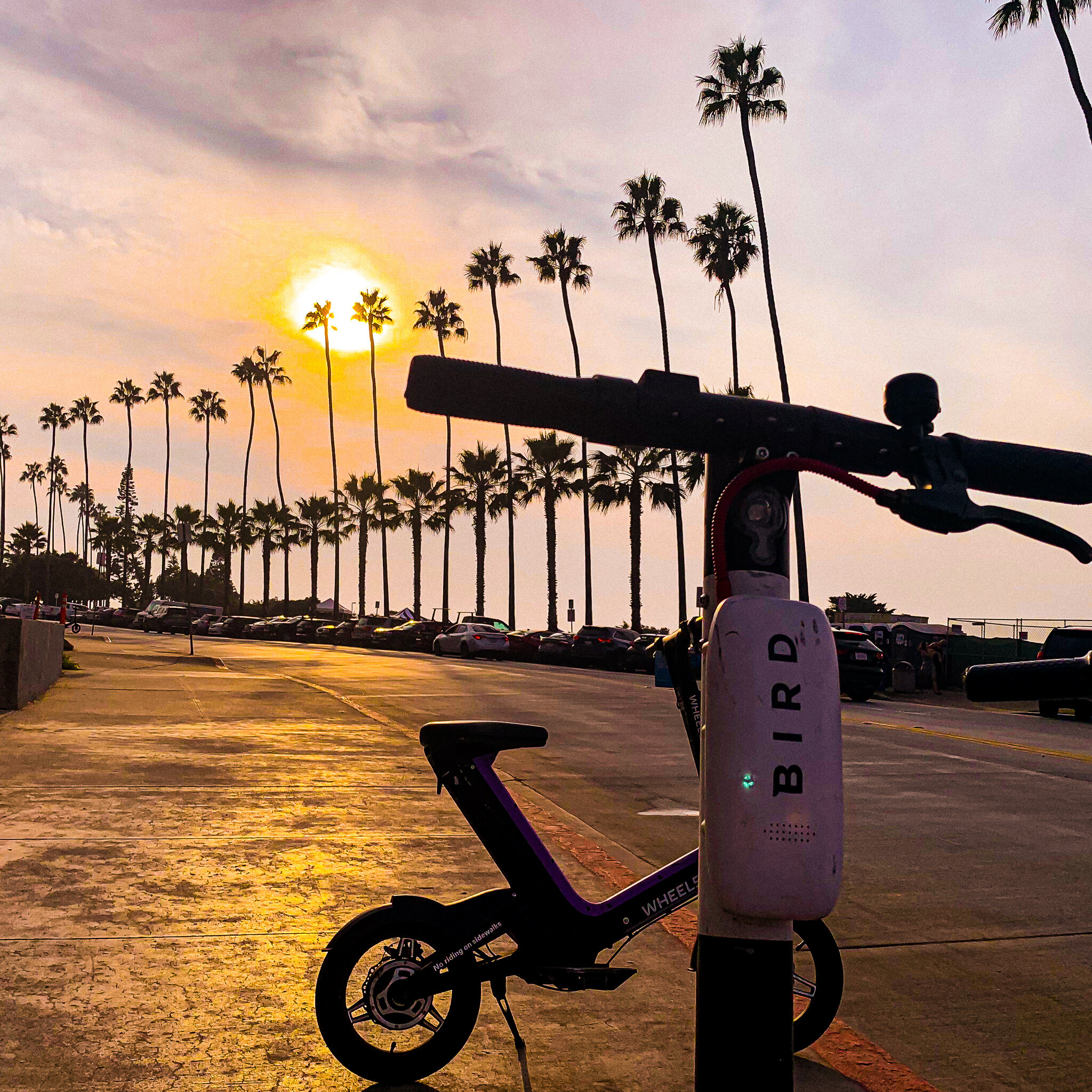 USED WEEK #41 IMG_6734 LA JOLLA.jpg