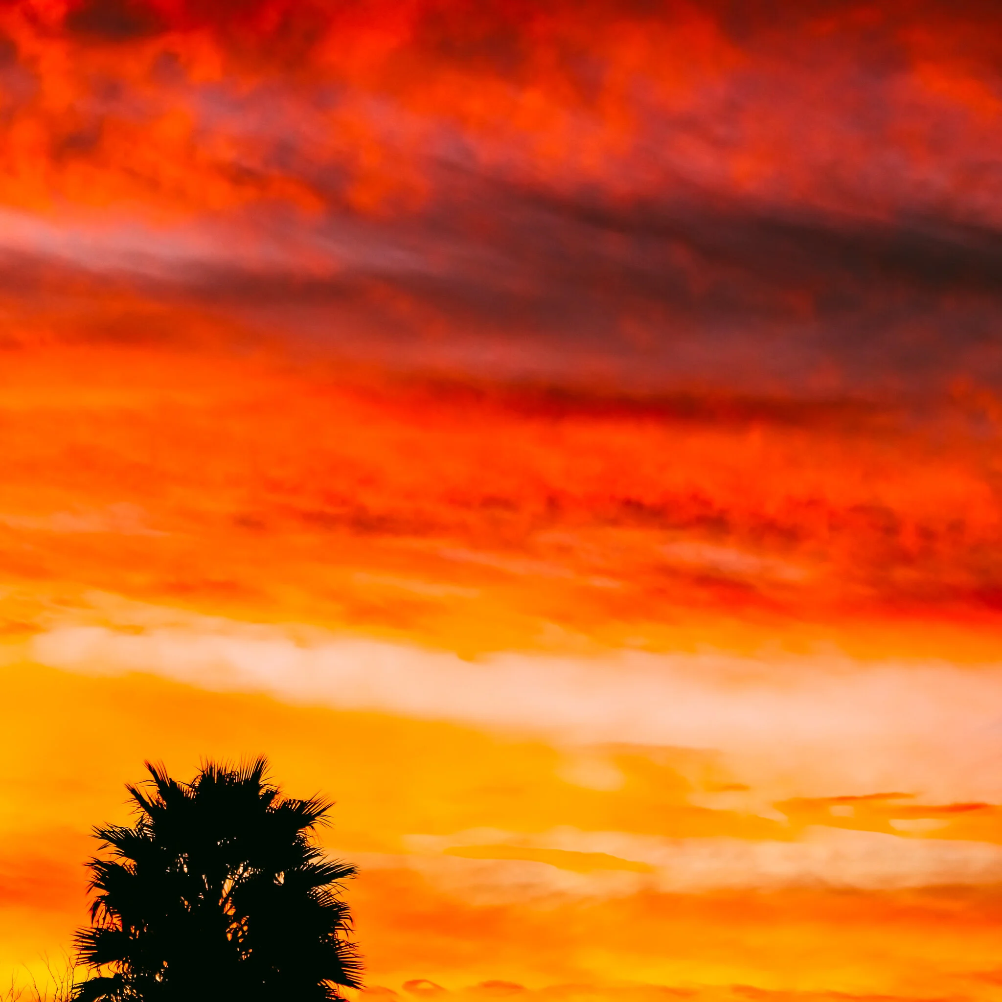 WEEK #43 LAS VEGAS IMG_0166.jpg
