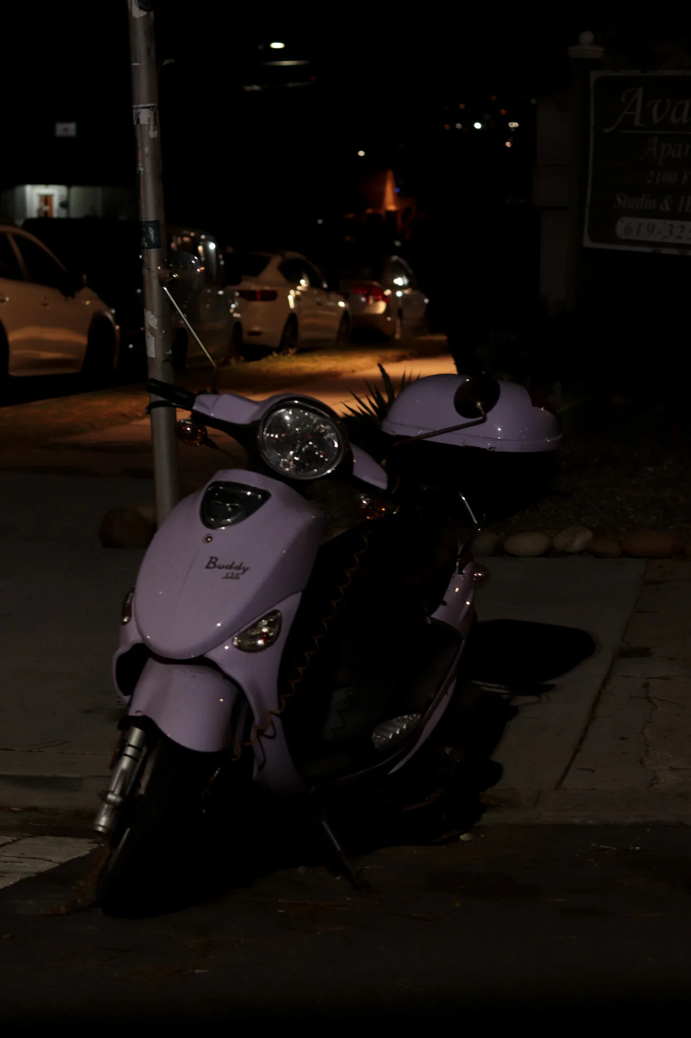 IMG_5647 SAN DIEGO.jpg