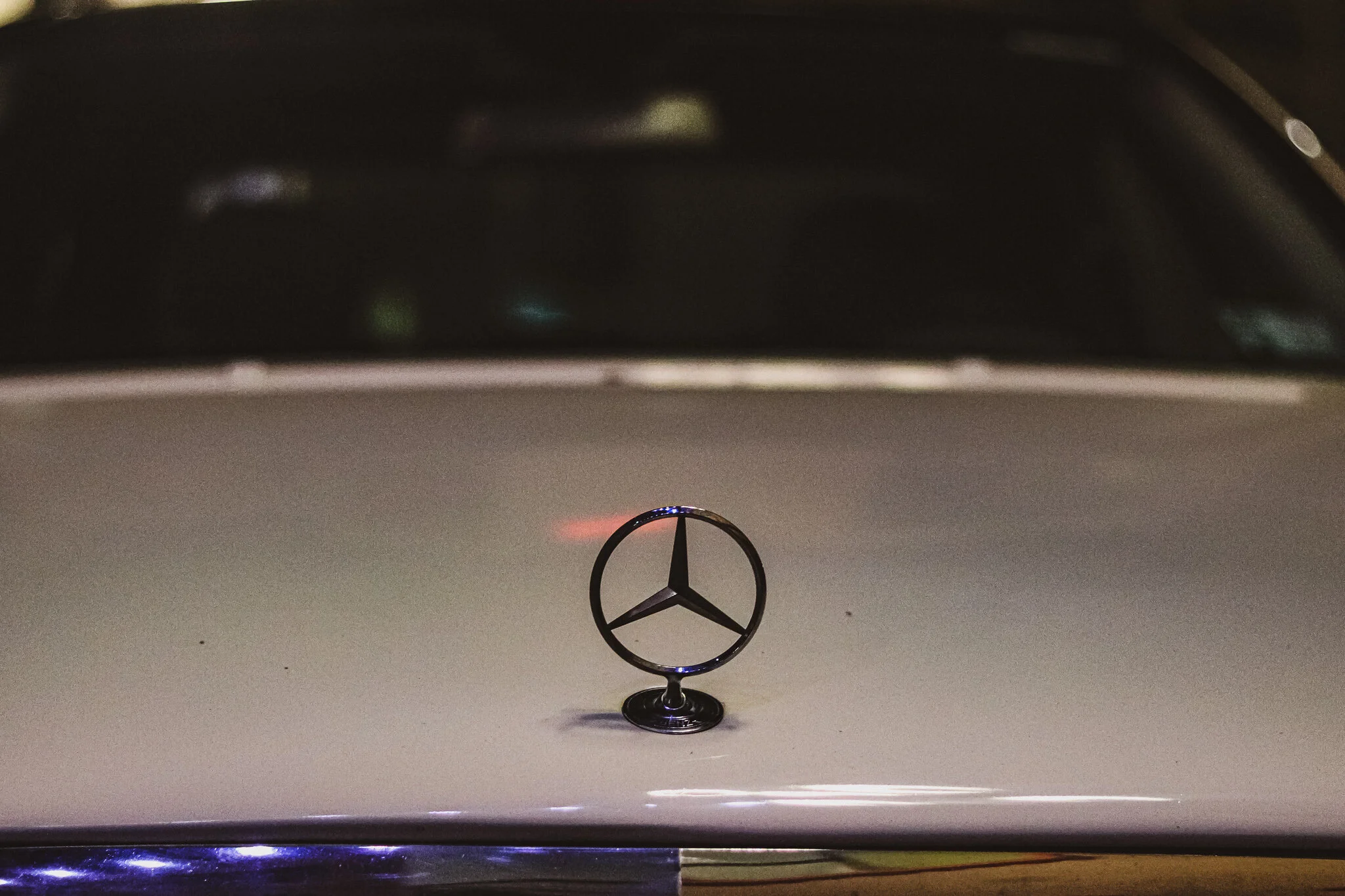 IMG_5853 SAN DIEGO.jpg