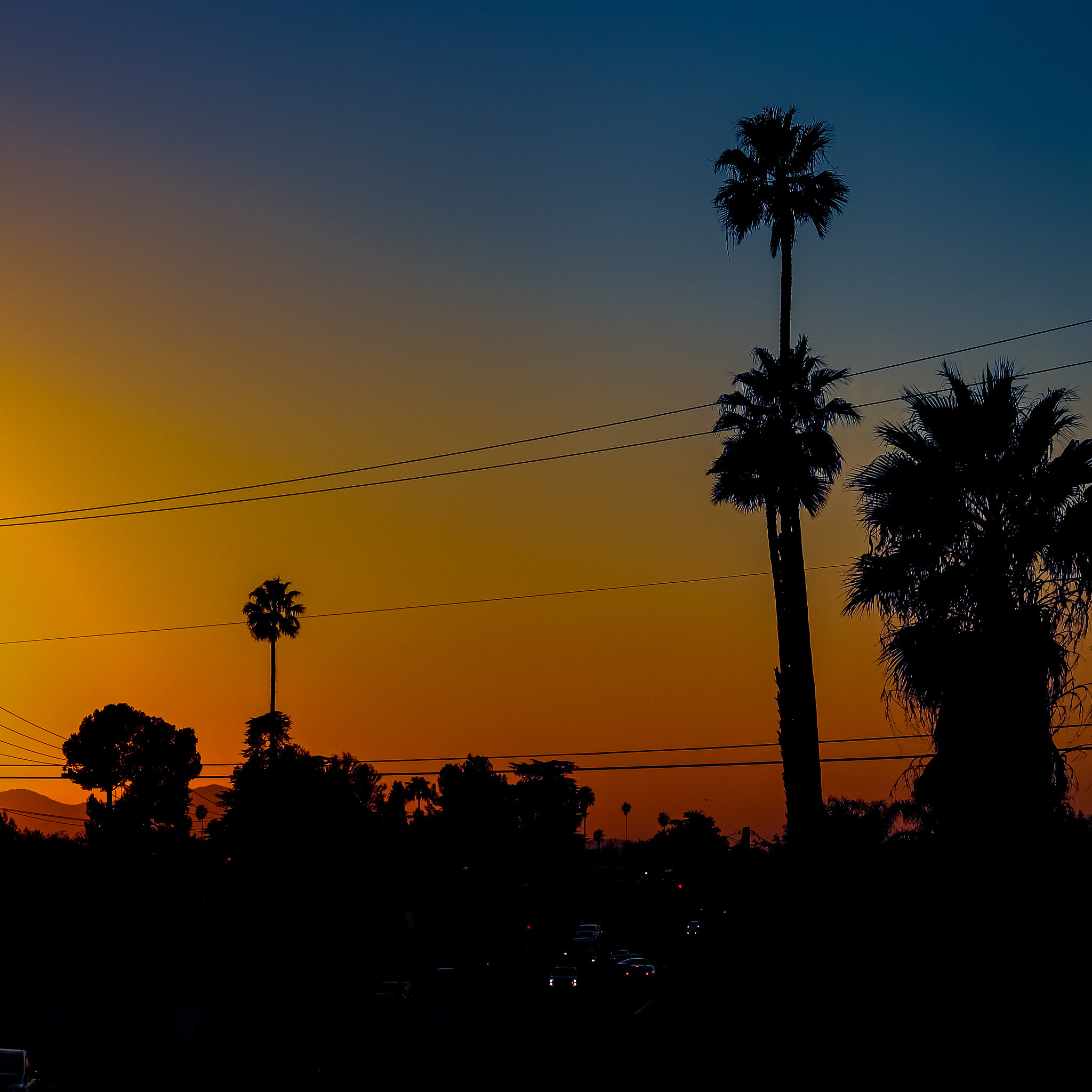 USED WEEK #44 IMG_6026 RIVERSIDE.jpg