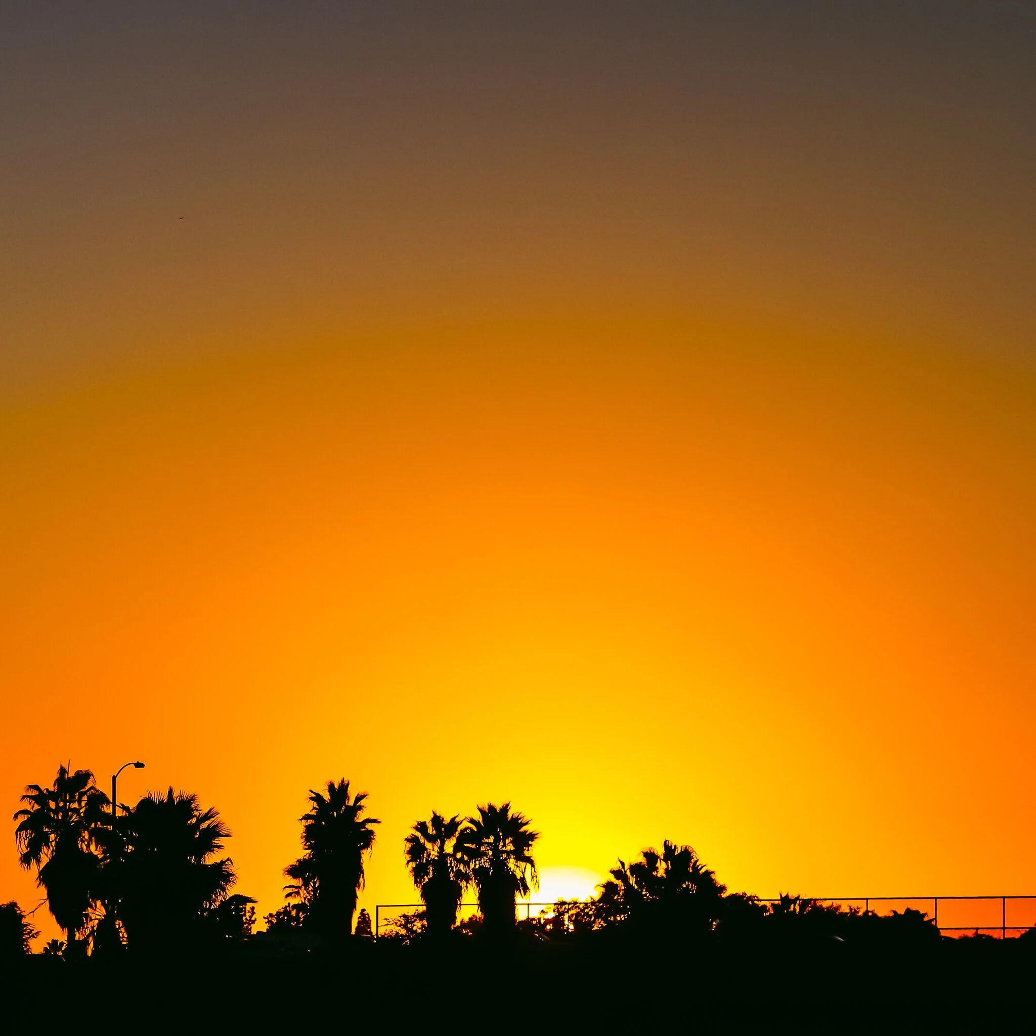 IMG_6161 ORANGE COUNTY.jpg
