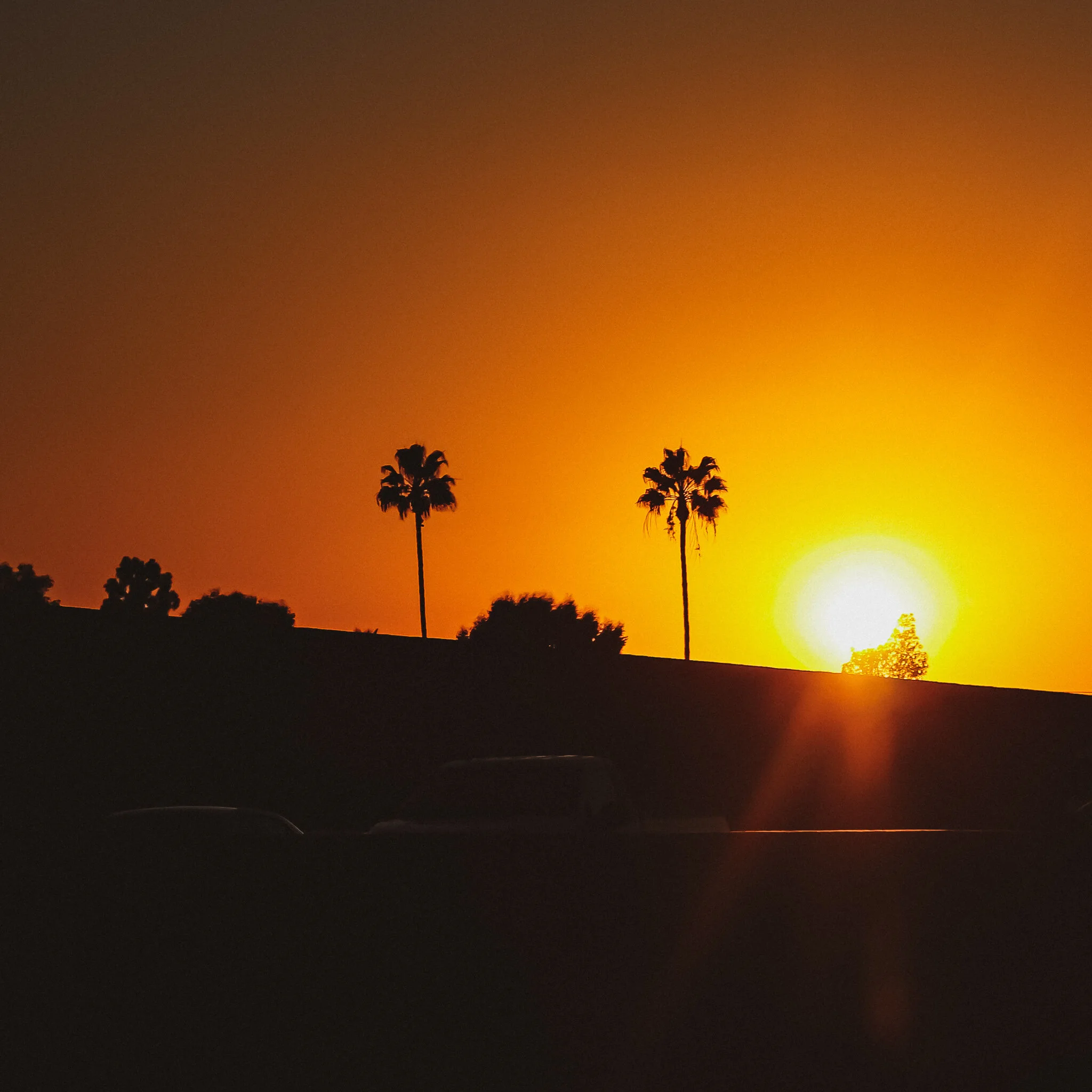 IMG_6166 ORANGE COUNTY.jpg