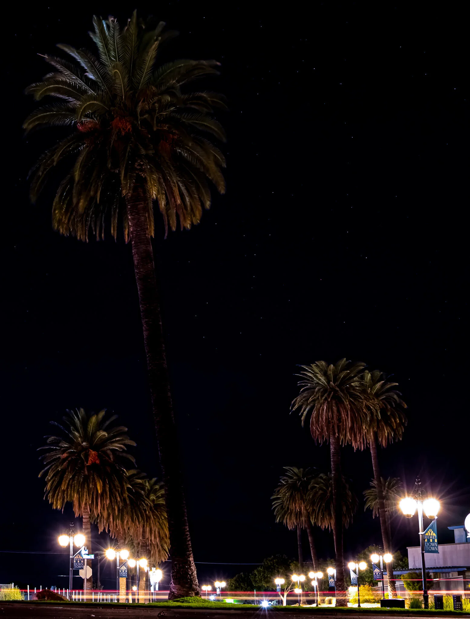 IMG_6849 HEMET.jpg