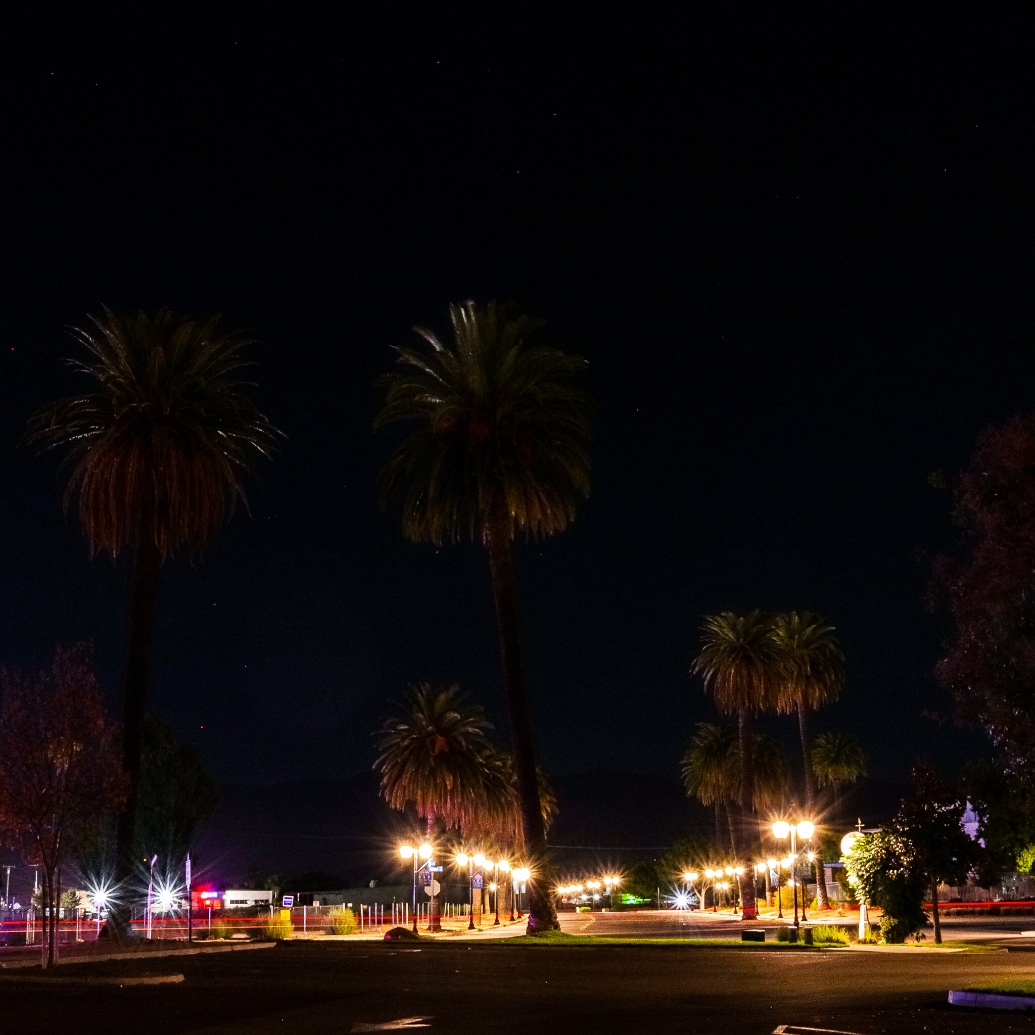 IMG_6889 HEMET.jpg