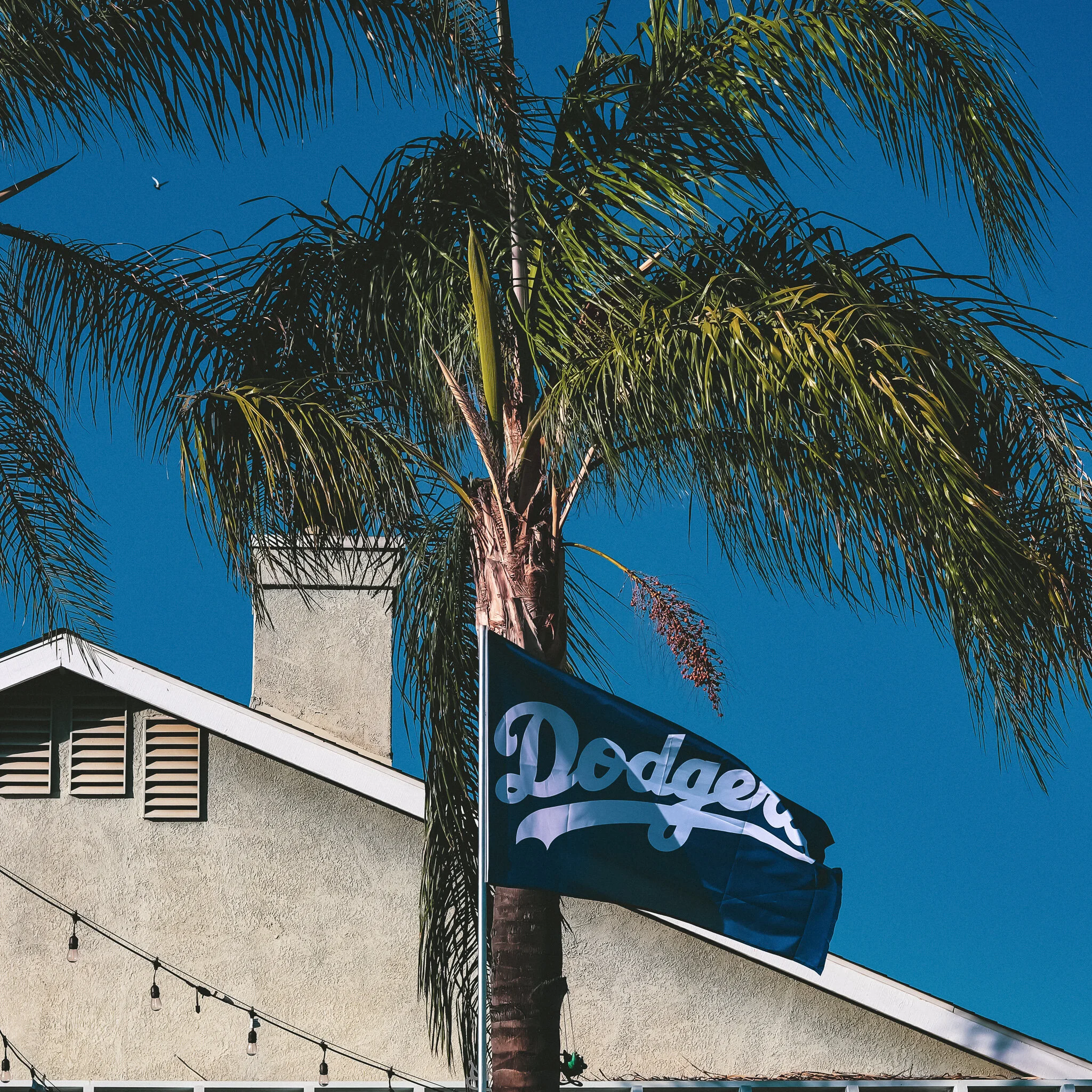 USED WEEK #44 IMG_6008 hemet.jpg
