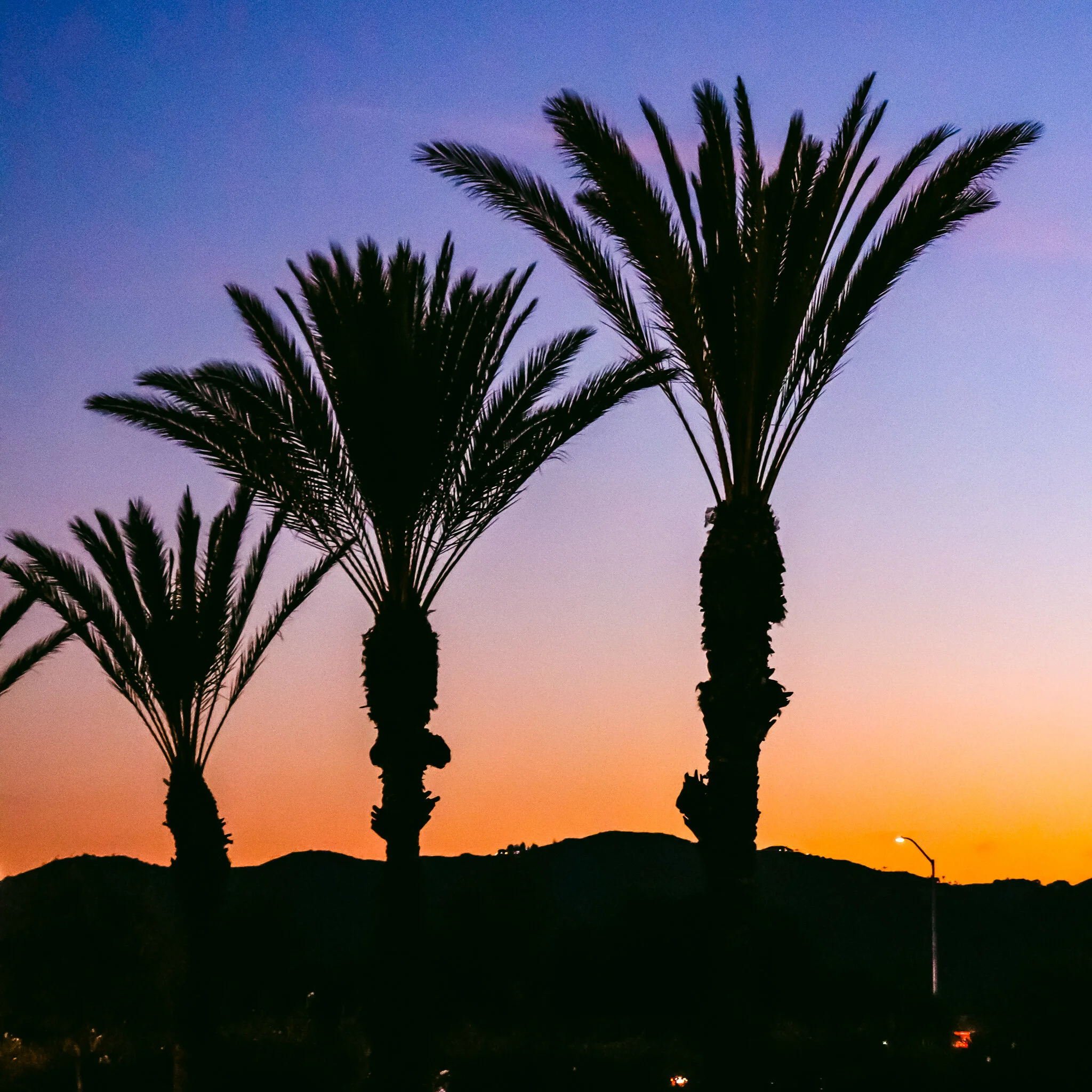 WEEK #46 IMG_7033 MURRIETA-2.jpg