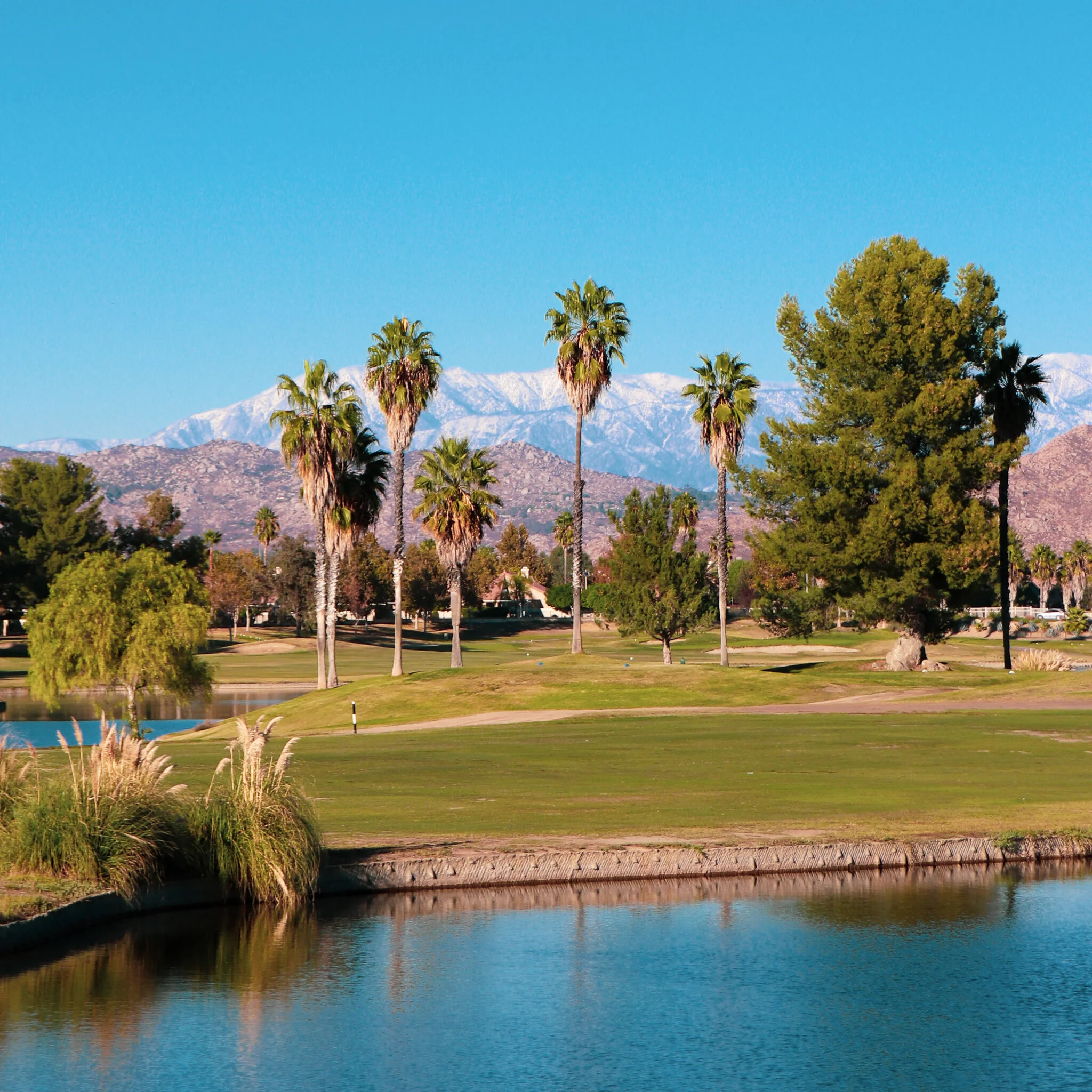 WEEK #46 IMG_7043 MENIFEE.jpg