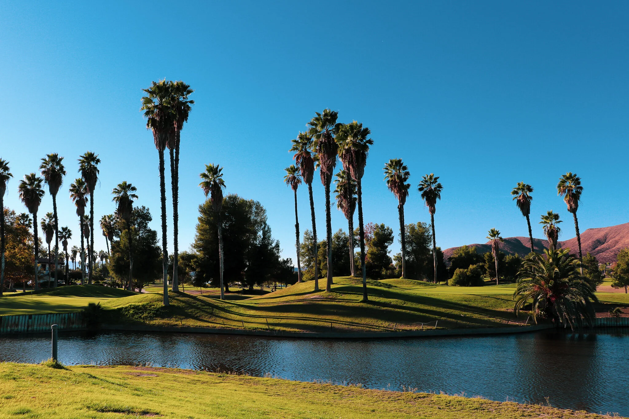 IMG_7047 MENIFEE.jpg