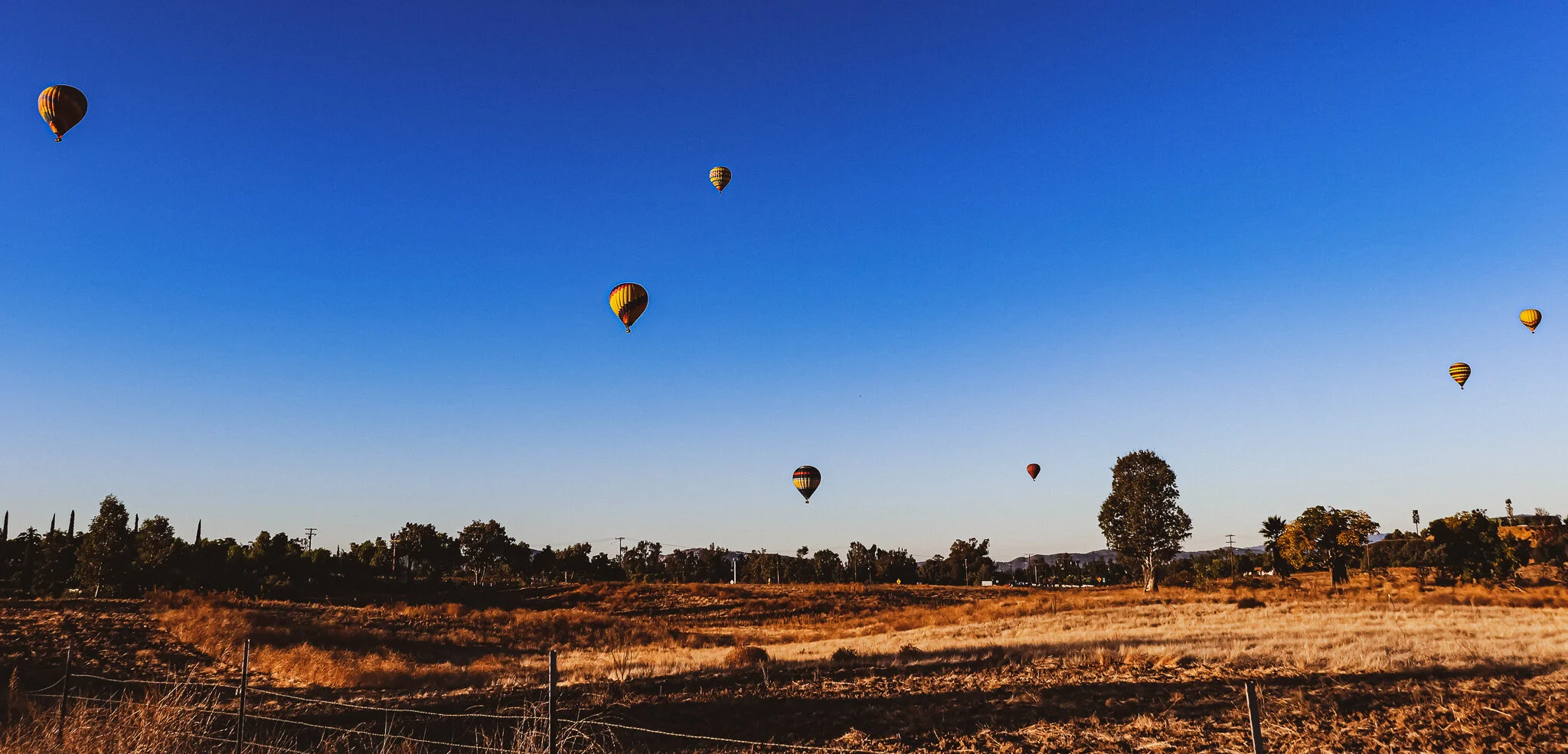 IMG_7556 TEMECULA BALLOONS.jpg