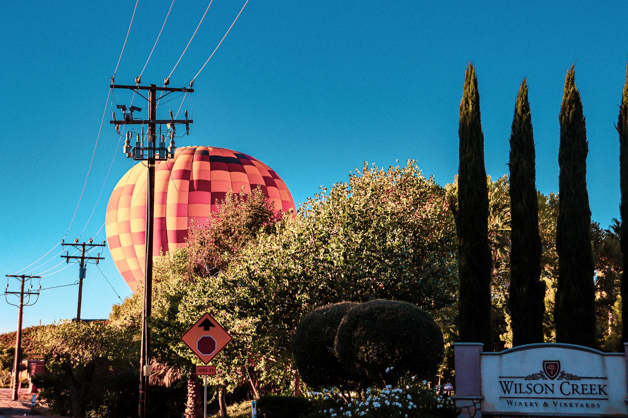 IMG_7586 TEMECULA BALLOONS.jpg