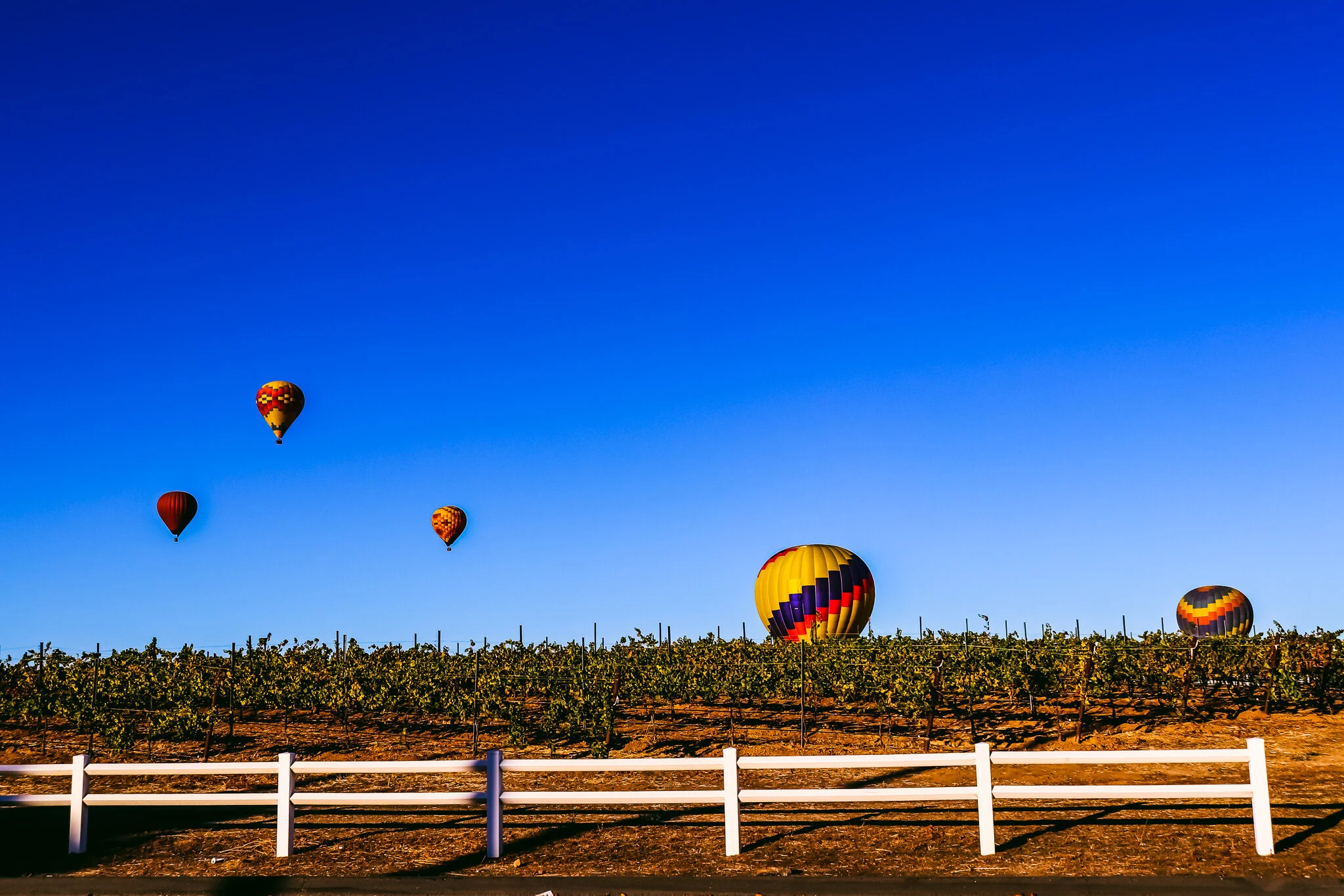 IMG_7624 TEMECULA BALLOONS FB COVER.jpg