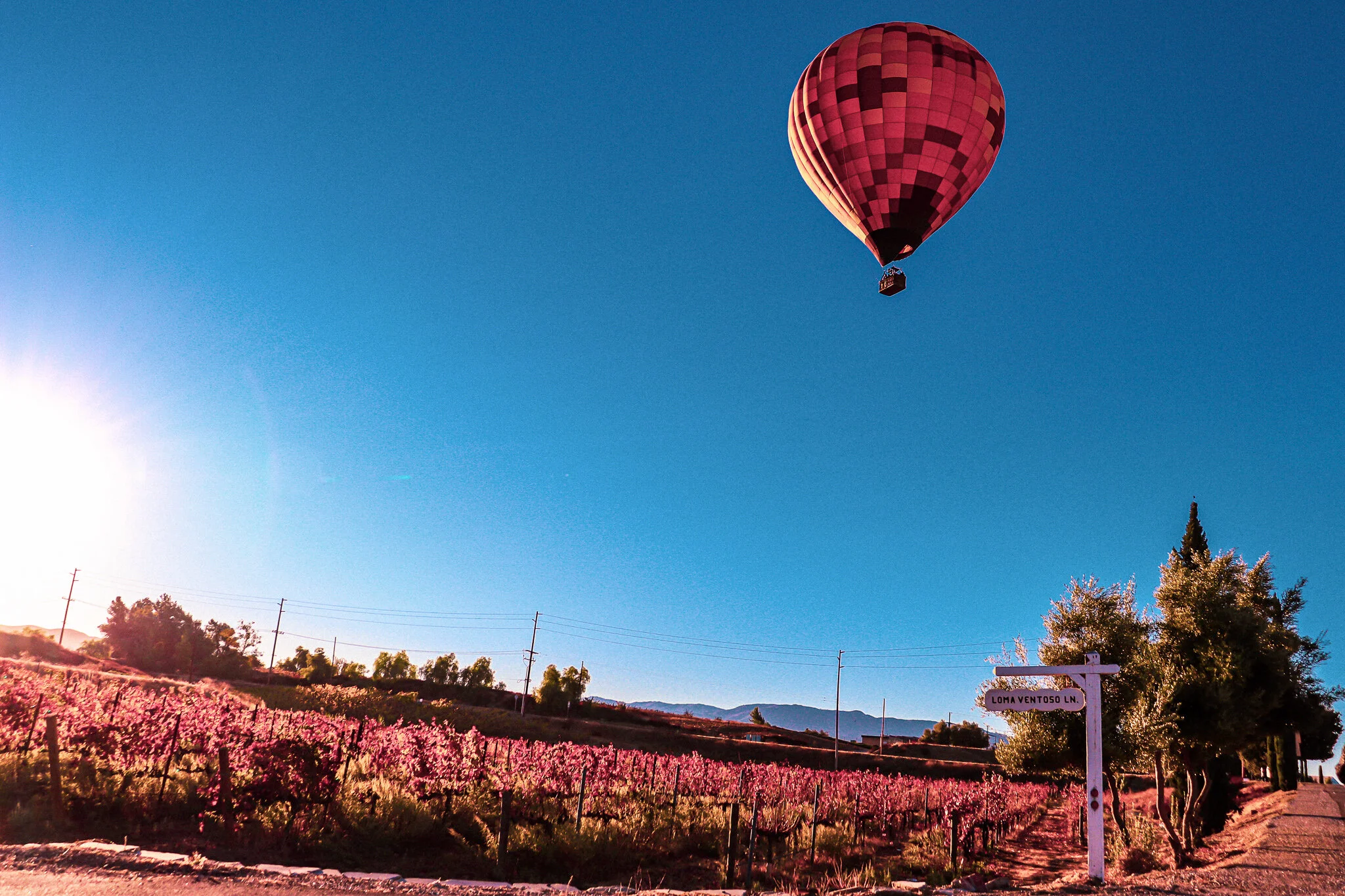 IMG_7603 TEMECULA BALLOONS.jpg