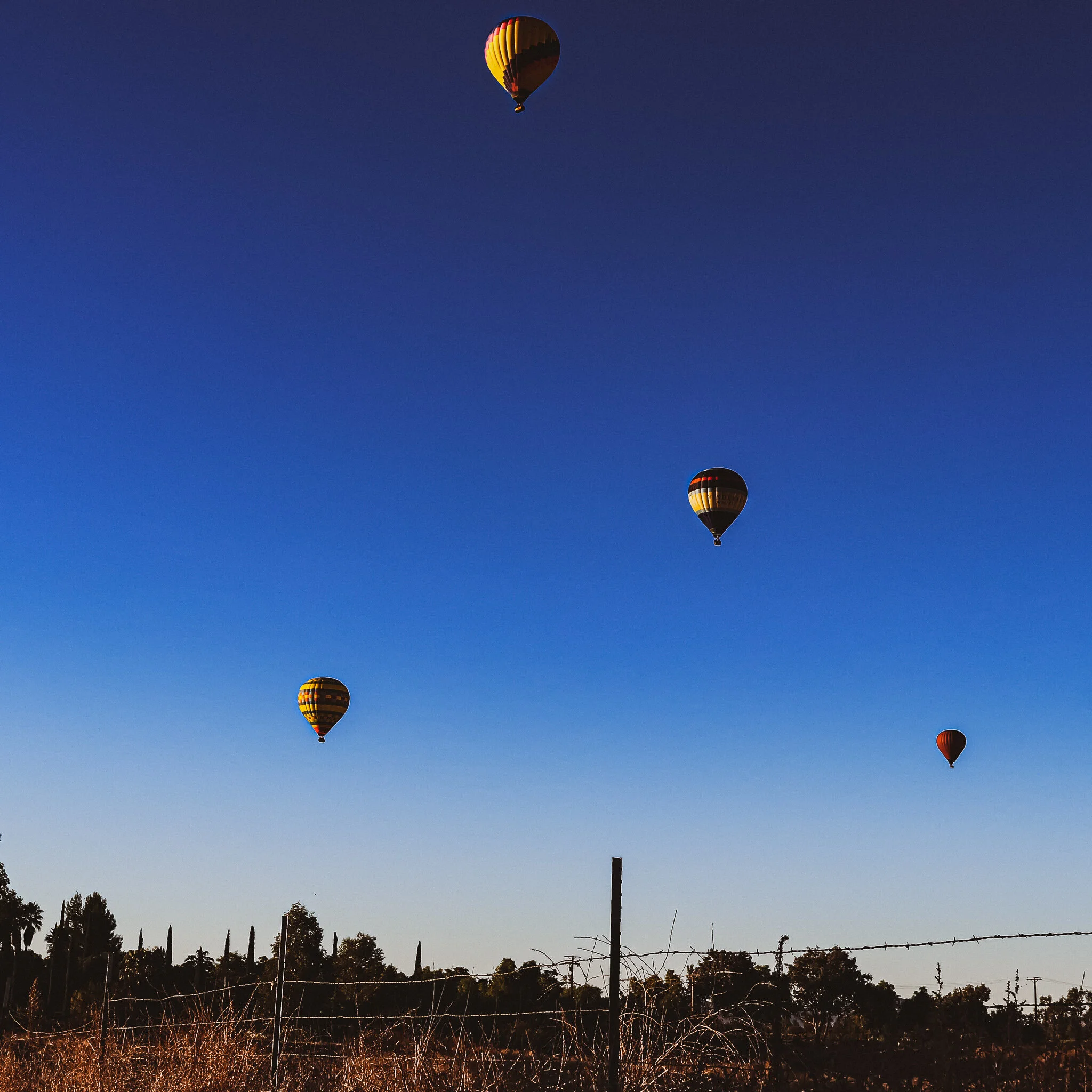 USED WEEK #47 IMG_7527 TEMECULA BALLOONS.jpg