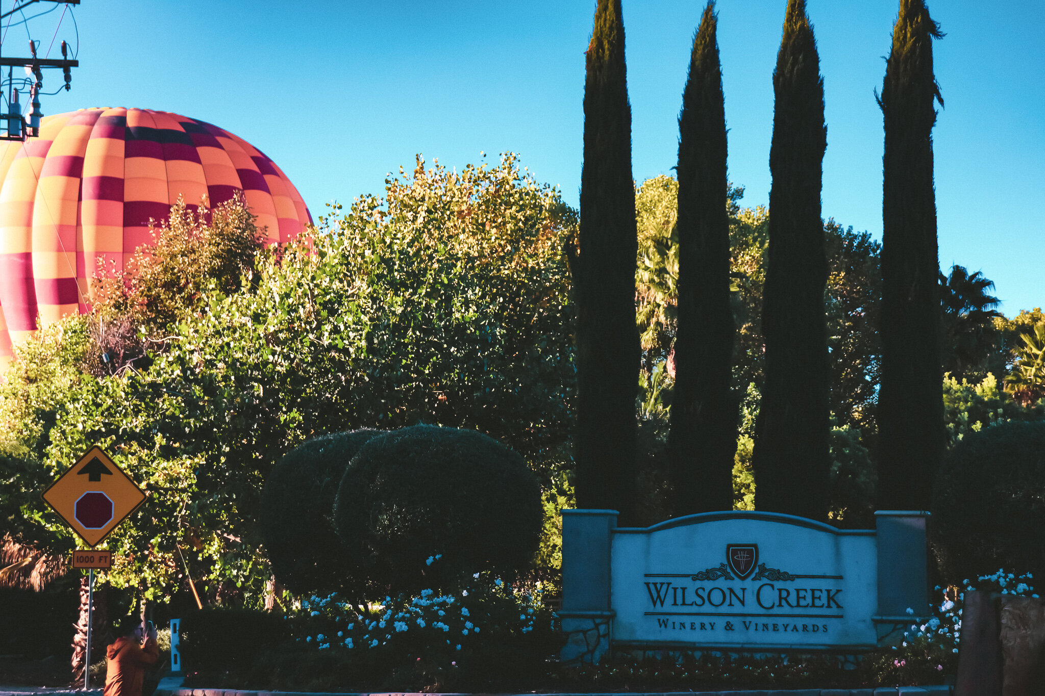 USED WEEK #47 IMG_7577 TEMECULA BALLOONS.jpg