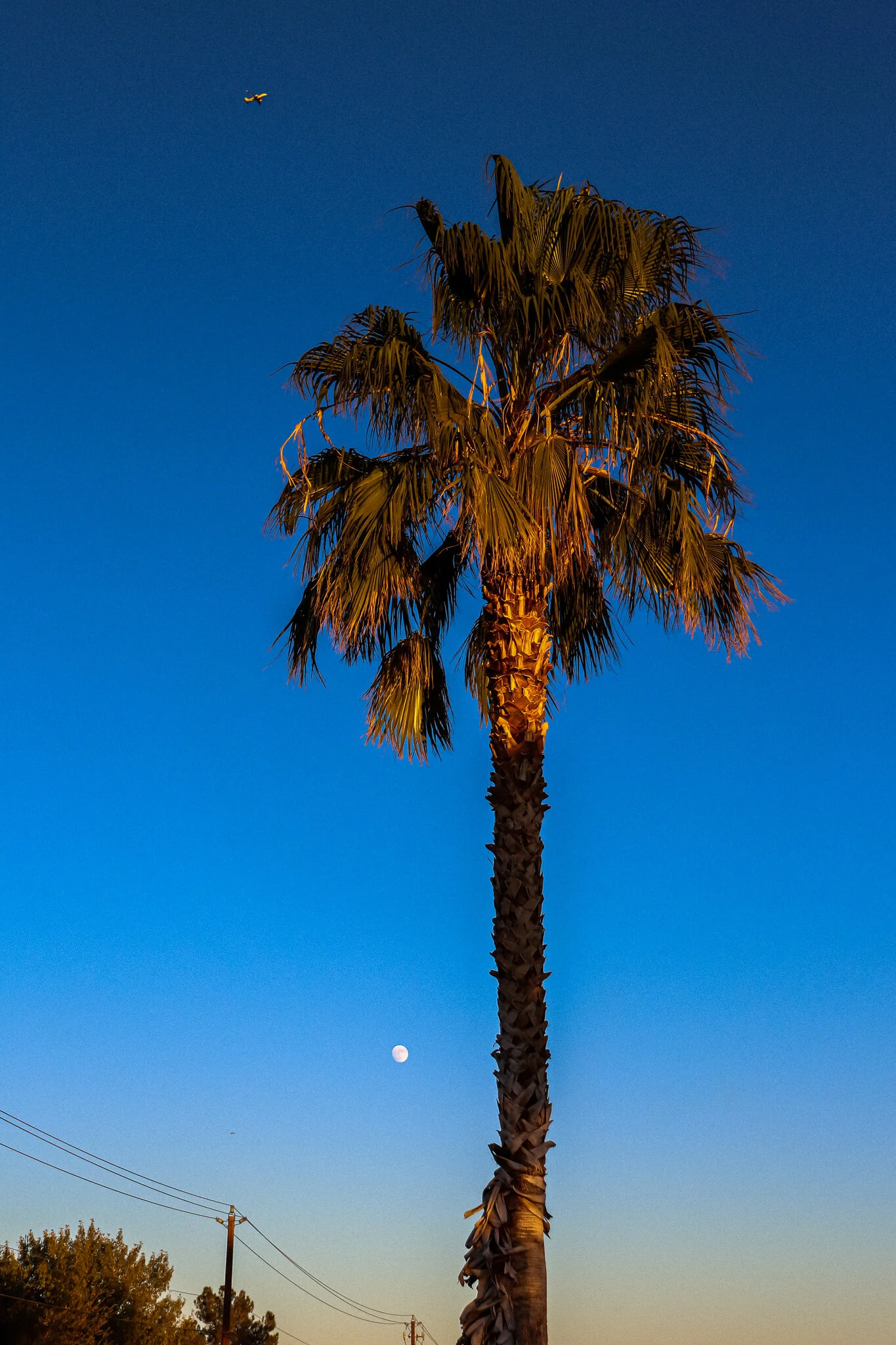 IMG_8263 LAS VEGAS SUNSET.jpg