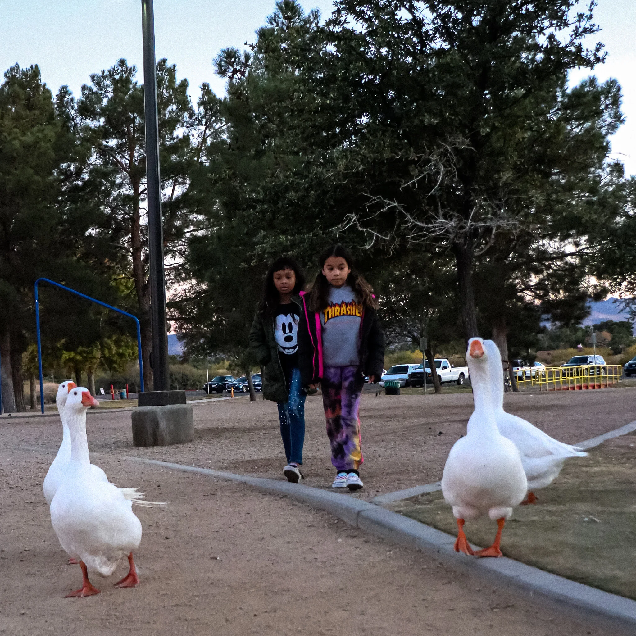 IMG_8526 LAS VEGAS BROOKS.jpg