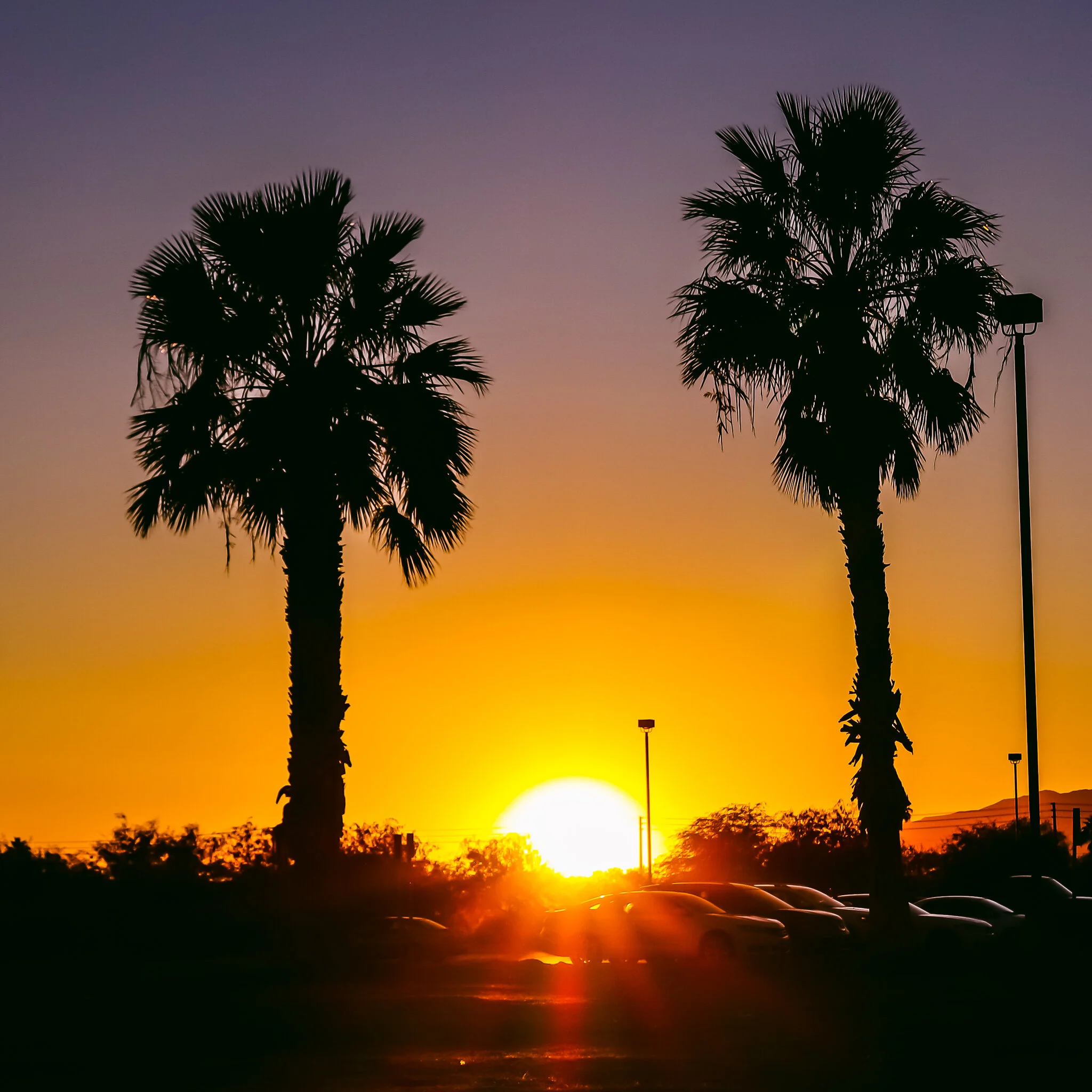 USED WEEK #48 IMG_8289 LAS VEGAS SUNSET.jpg