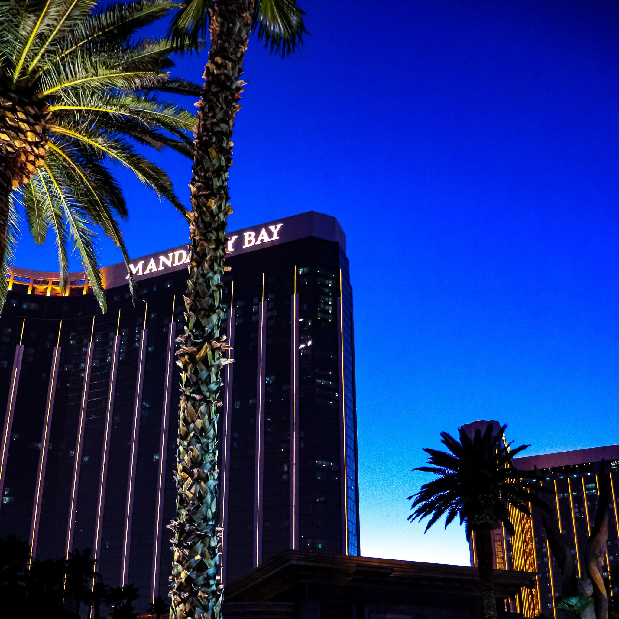 IMG_8013 LAS VEGAS-2.jpg