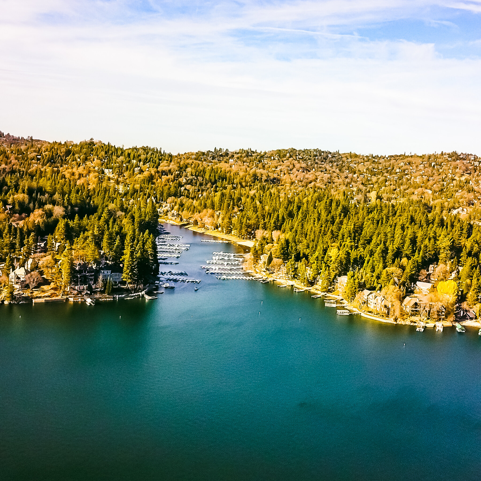 DJI_0440 LAKE ARROWHEAD.jpg