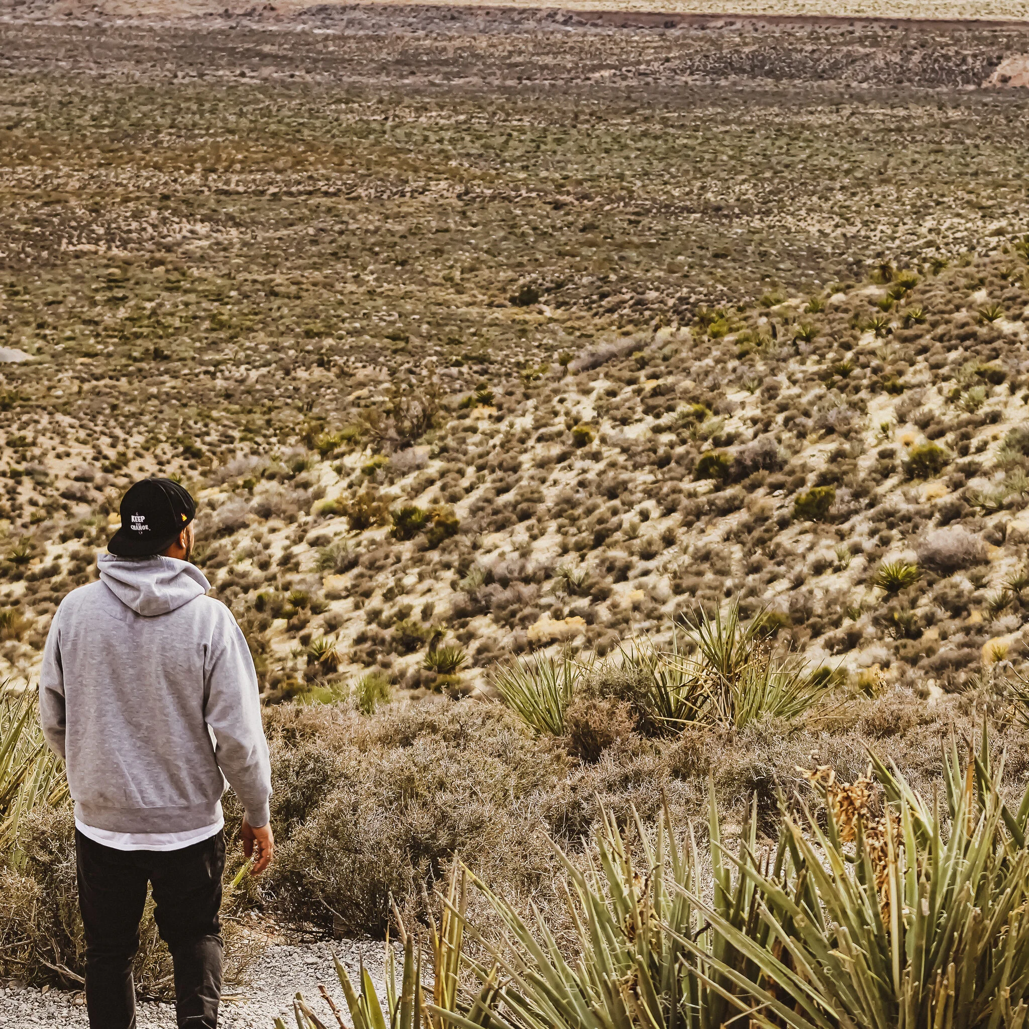 IMG_1057 RED ROCK.jpg