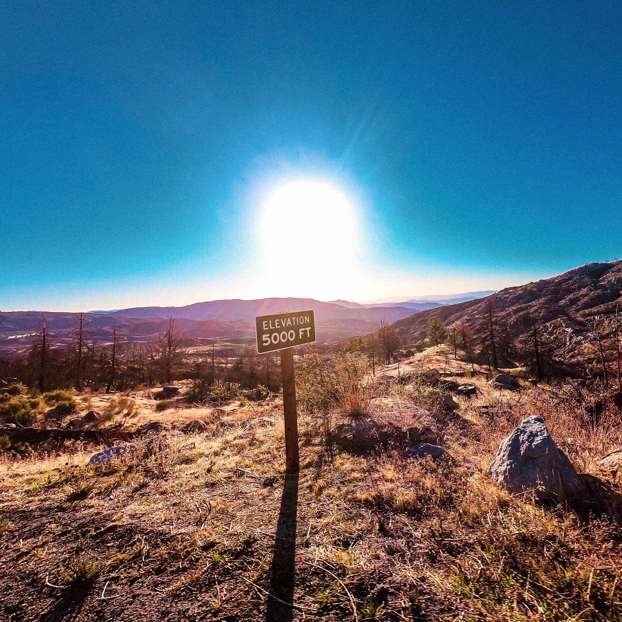 G0100602  IDYLLWILD.jpg