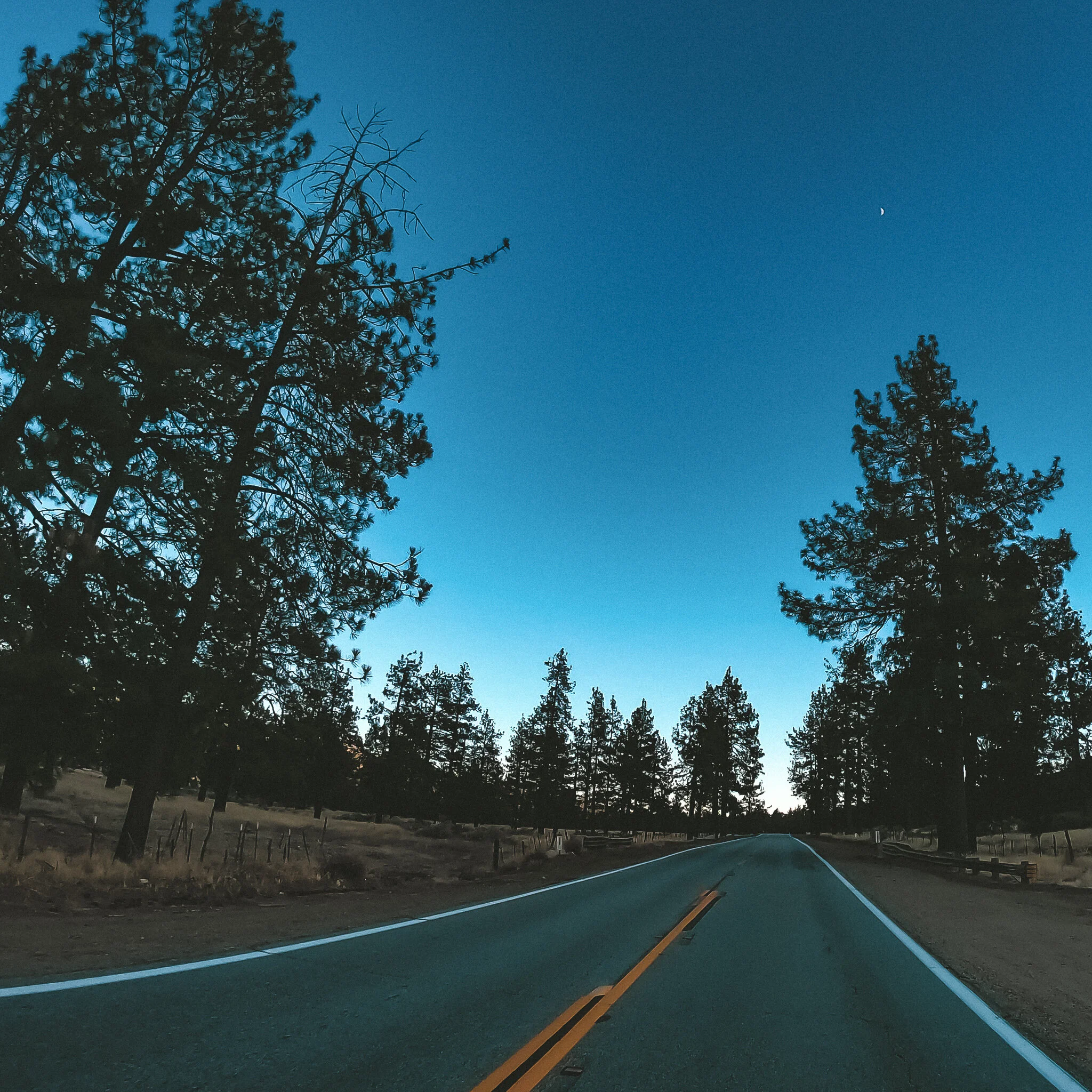 USED WEEK #45 G0130732  IDYLLWILD.jpg