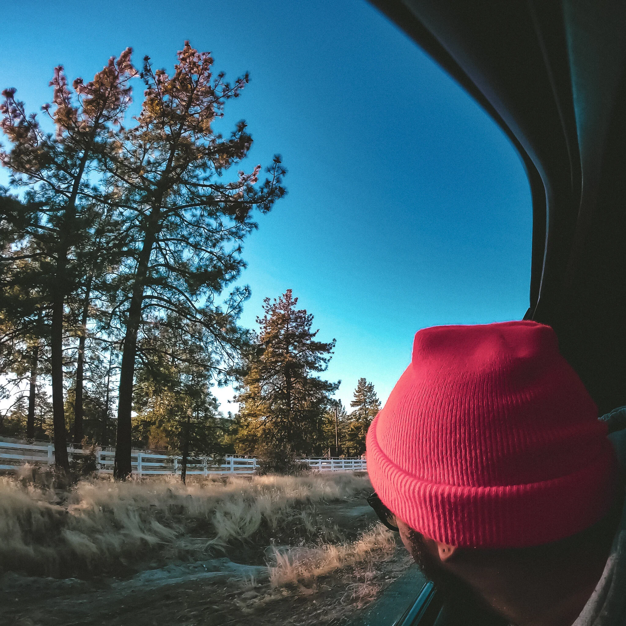 USED WEEK #52 G0210958 IDYLLWILD.jpg