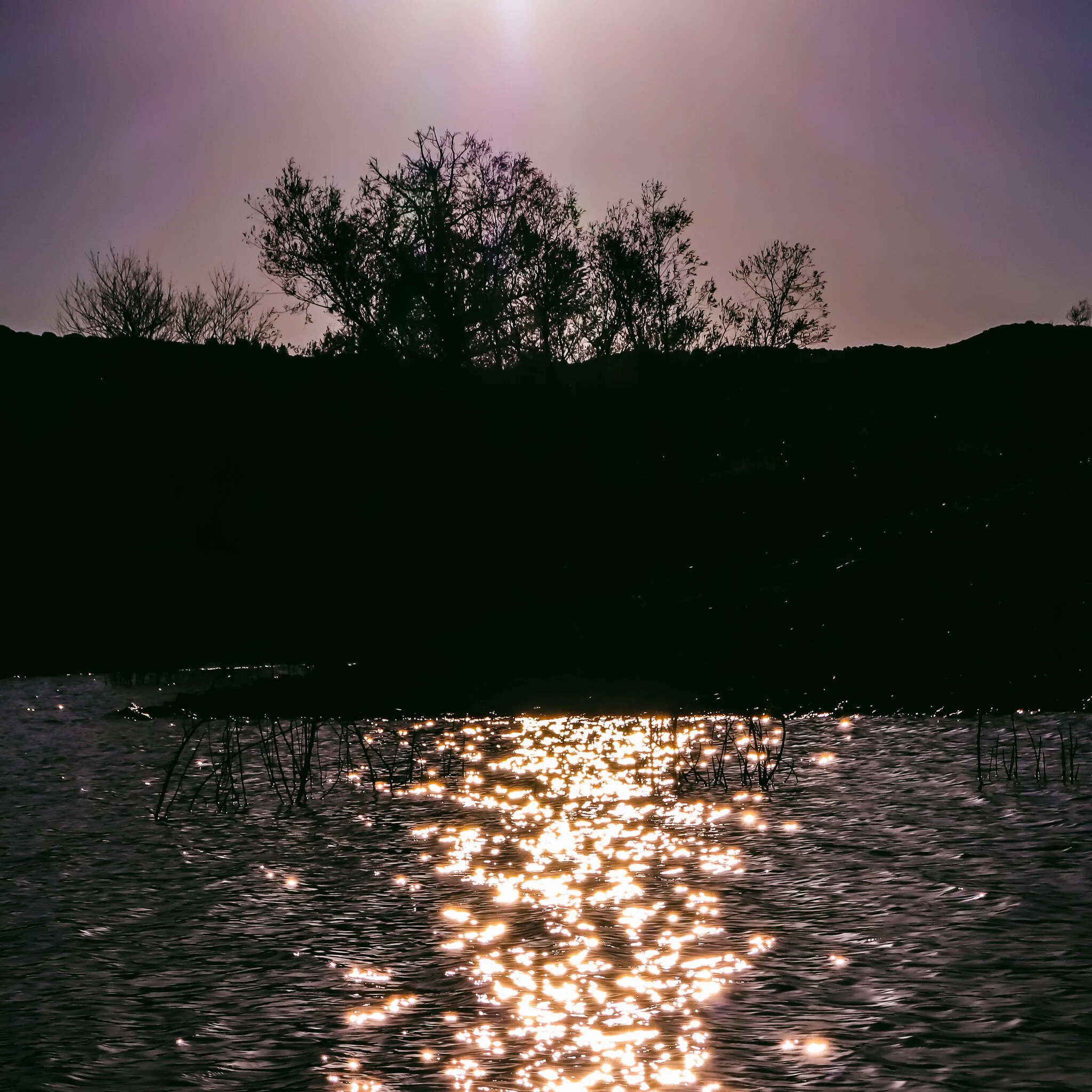 USED WEEK #52 IMG_9304  IDYLLWILD.jpg