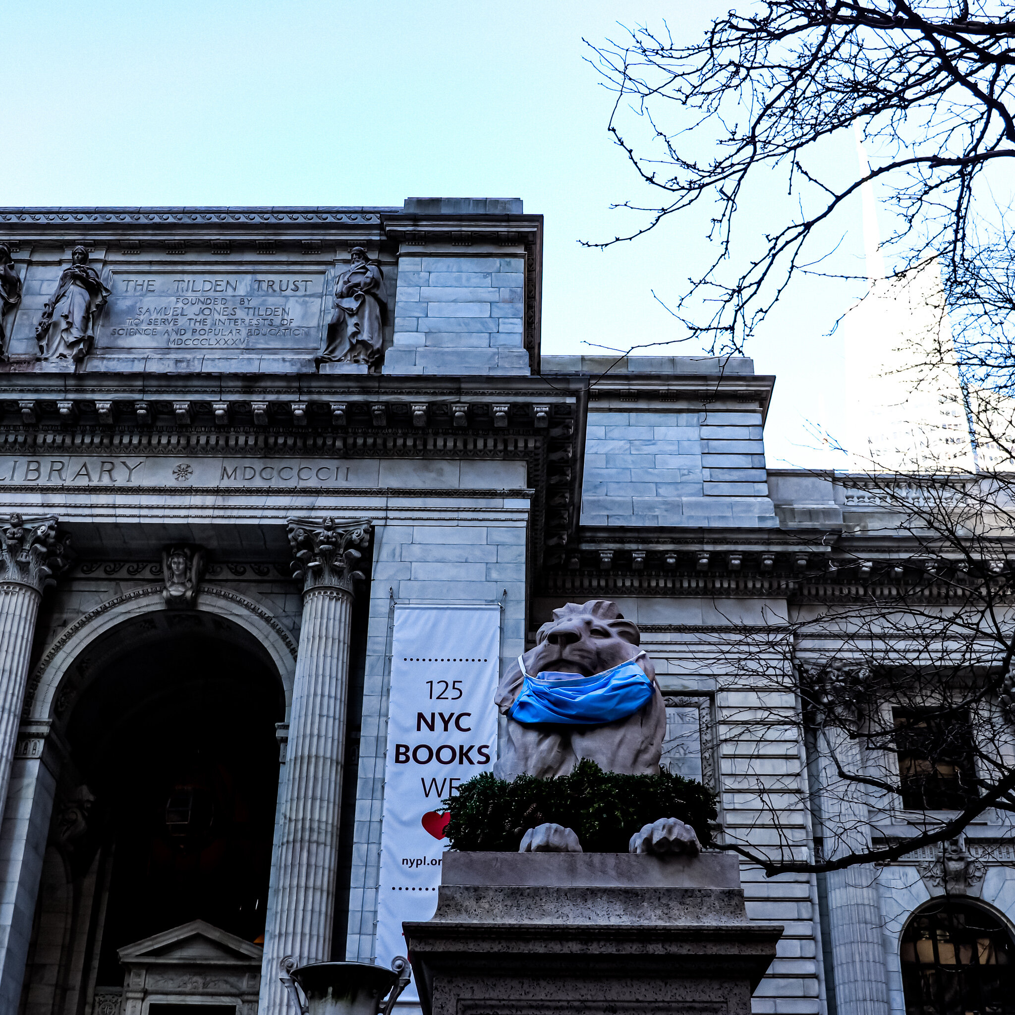 IMG_9361 NYC COVID.jpg
