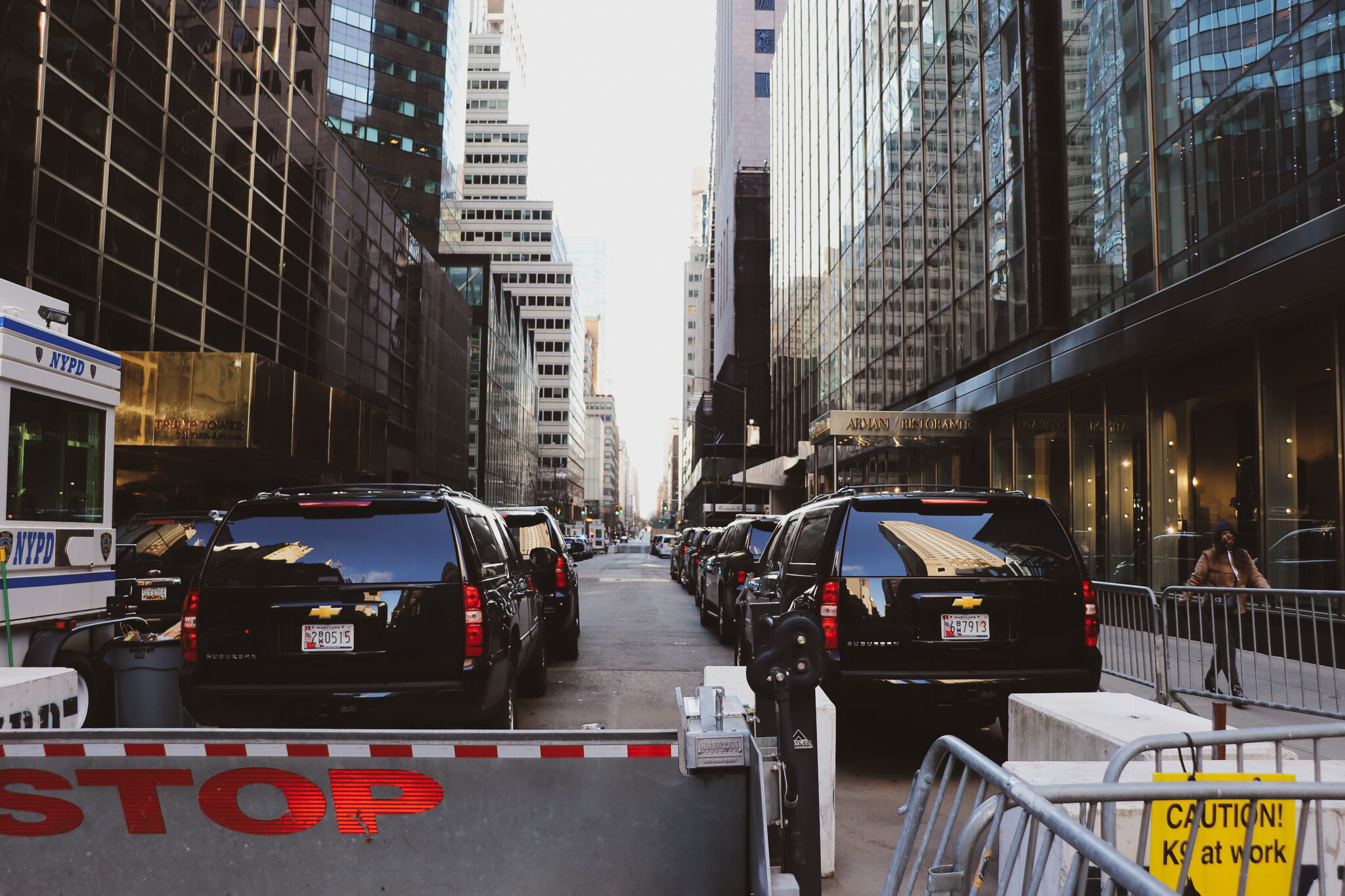 IMG_9399 NYC2.jpg