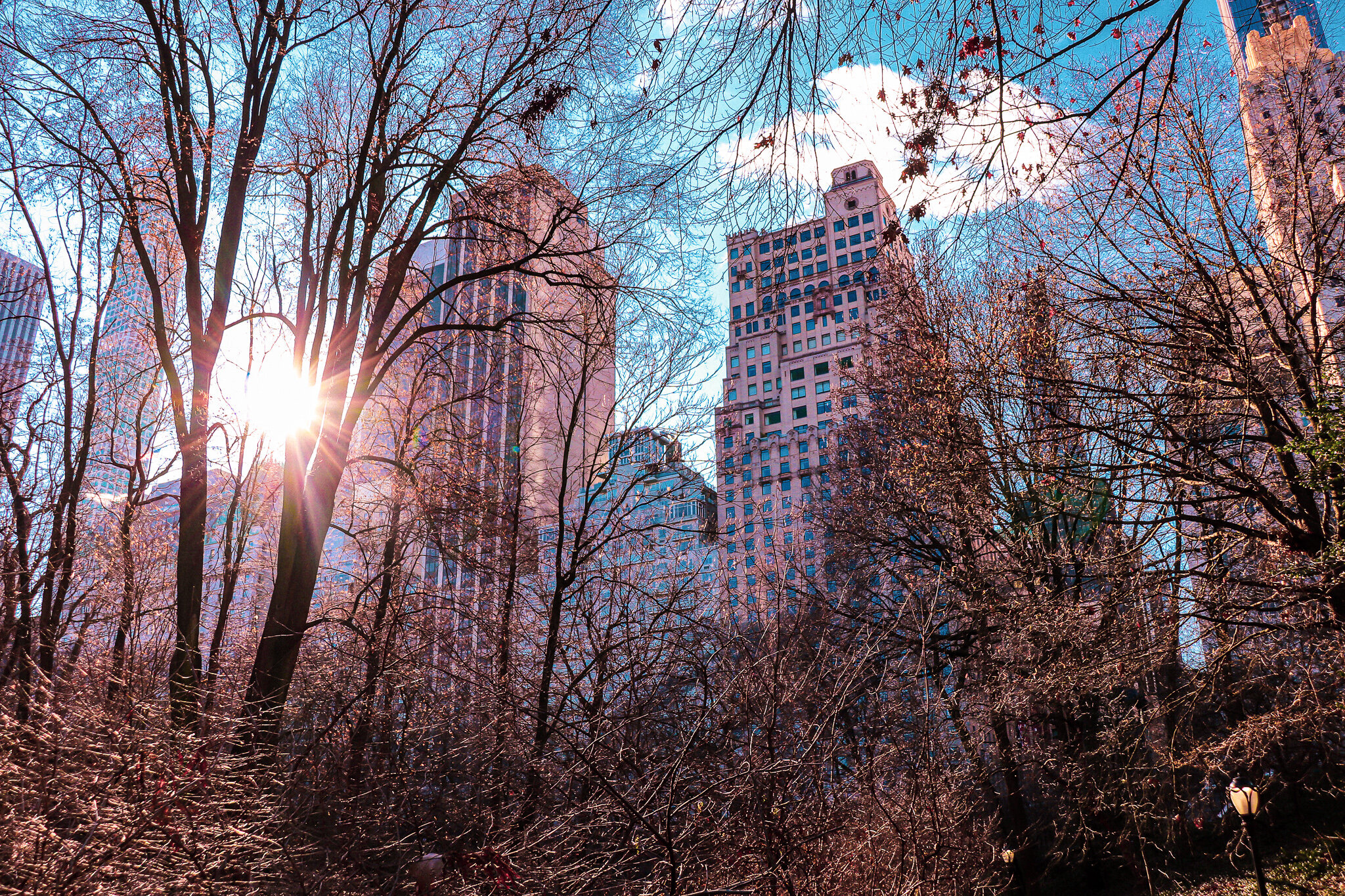 IMG_9415 NYC2.jpg