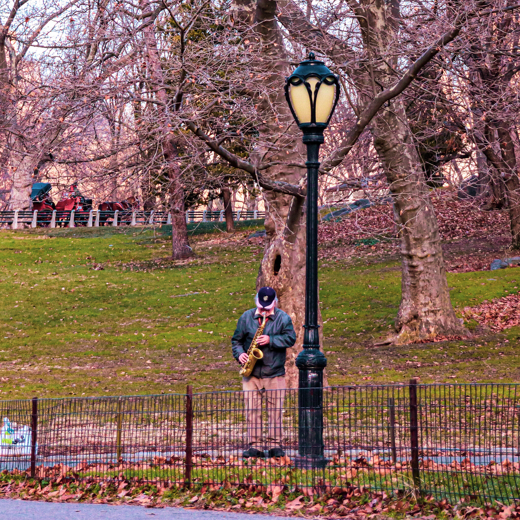 IMG_9460 NYC2.jpg