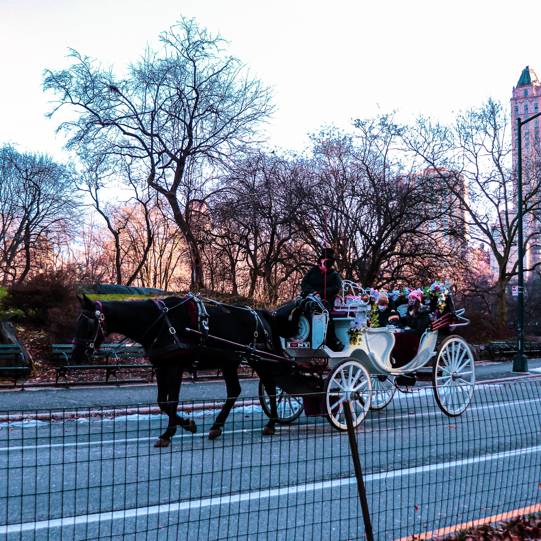 IMG_9468 NYC2.jpg