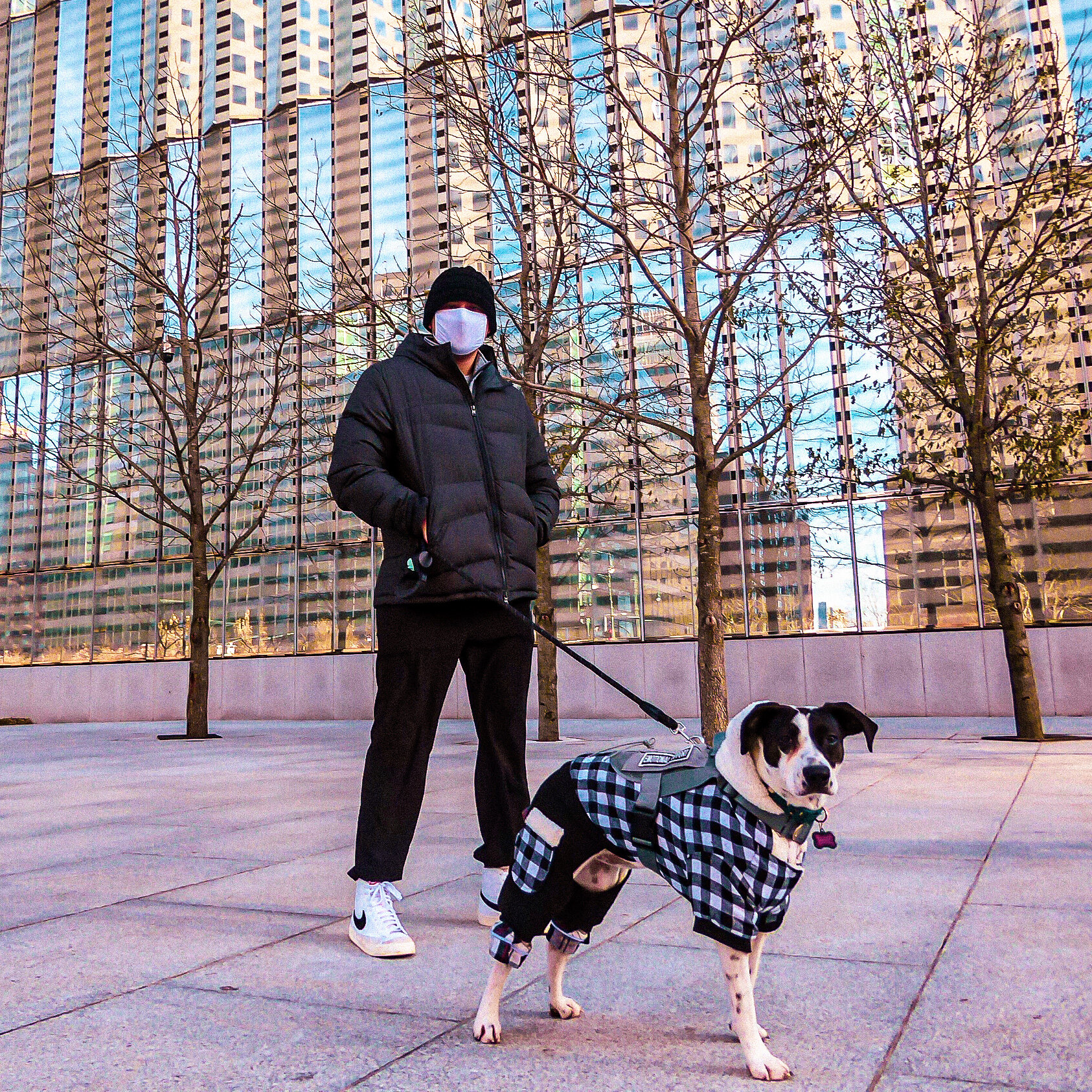 P1070802 NYC3.jpg
