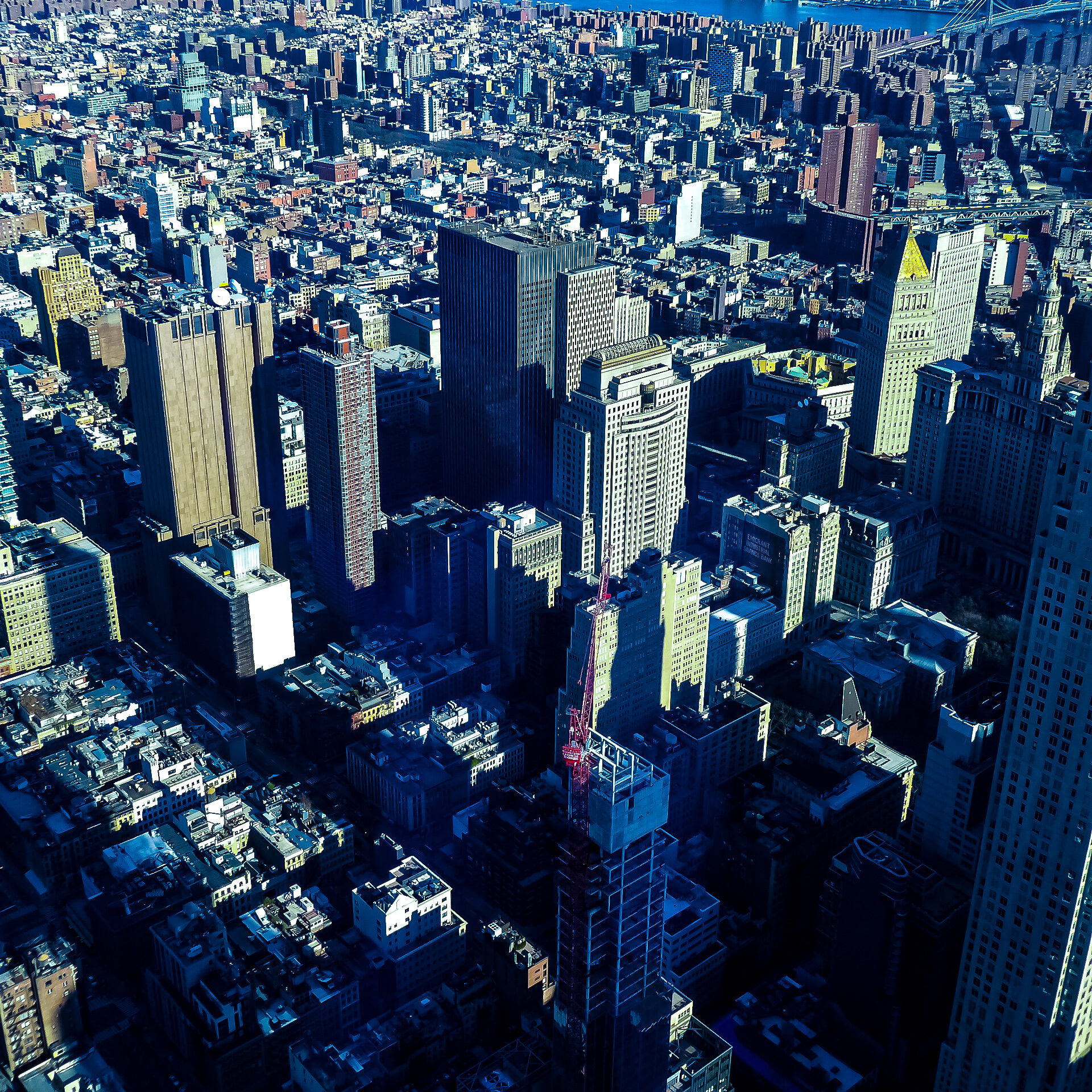 P1070845 NYC3.jpg
