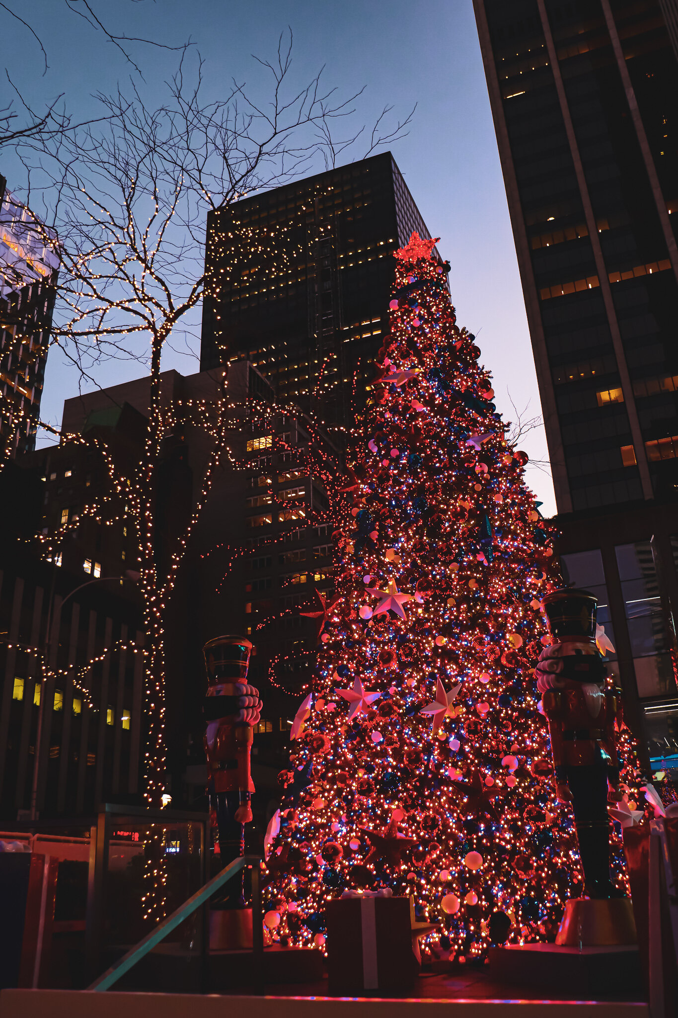 IMG_9992 NYC4.jpg